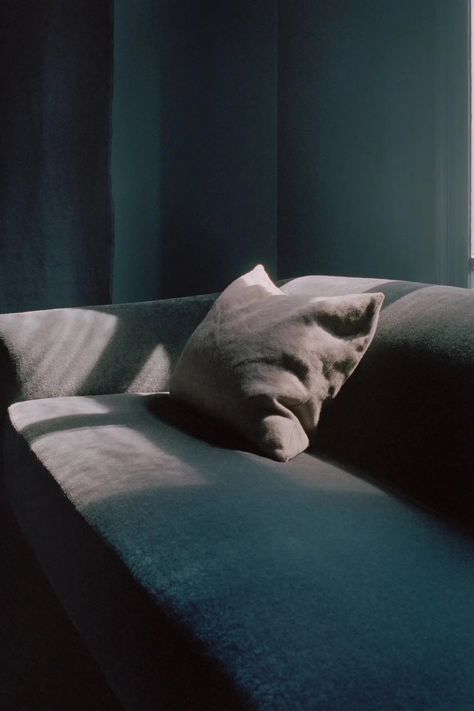 Shore Sofa 2-Seater - Plinth - THAT COOL LIVING