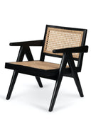 Chandigarh Junior Easy Lounge Chair - THAT COOL LIVING