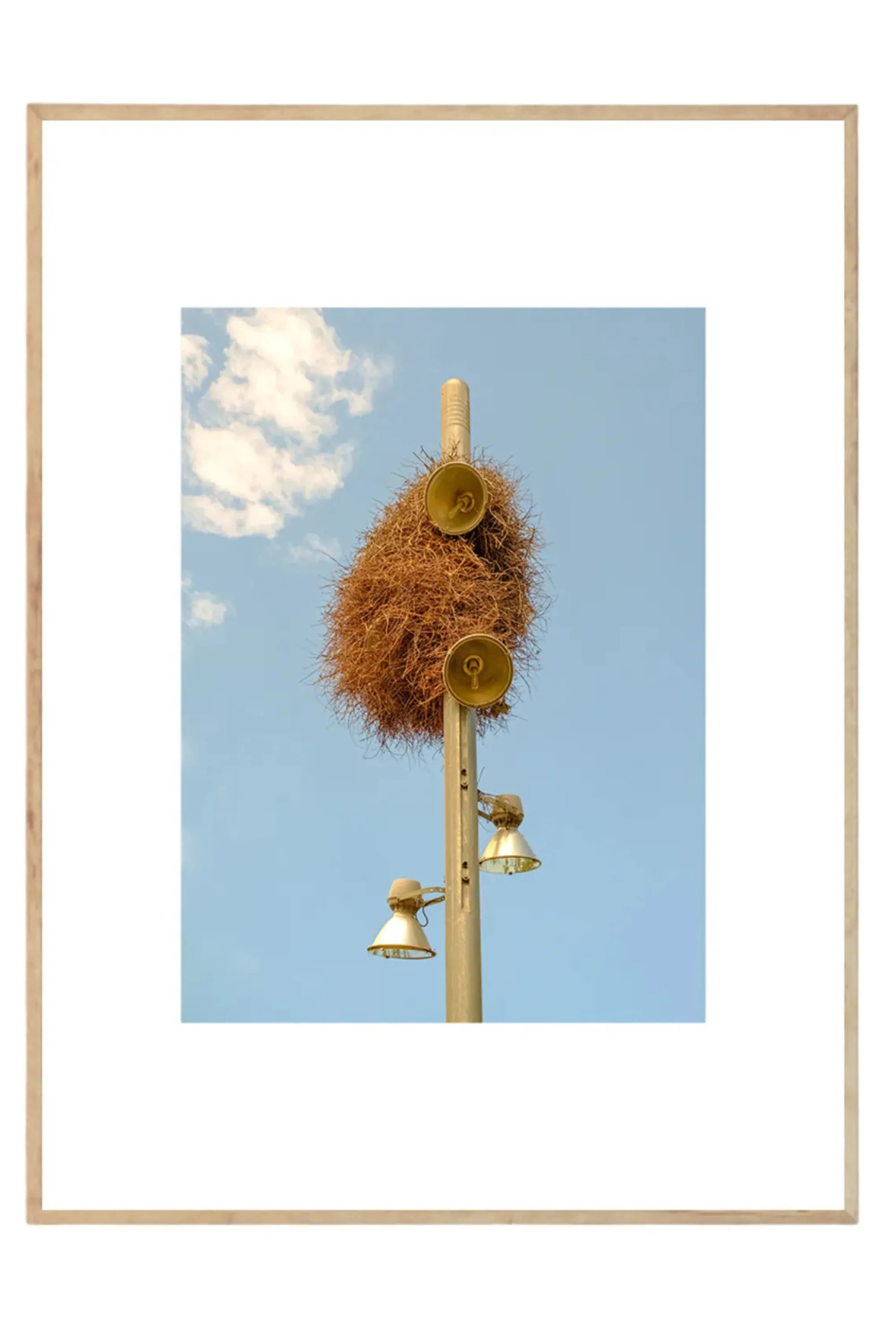 A New Home - Art Print