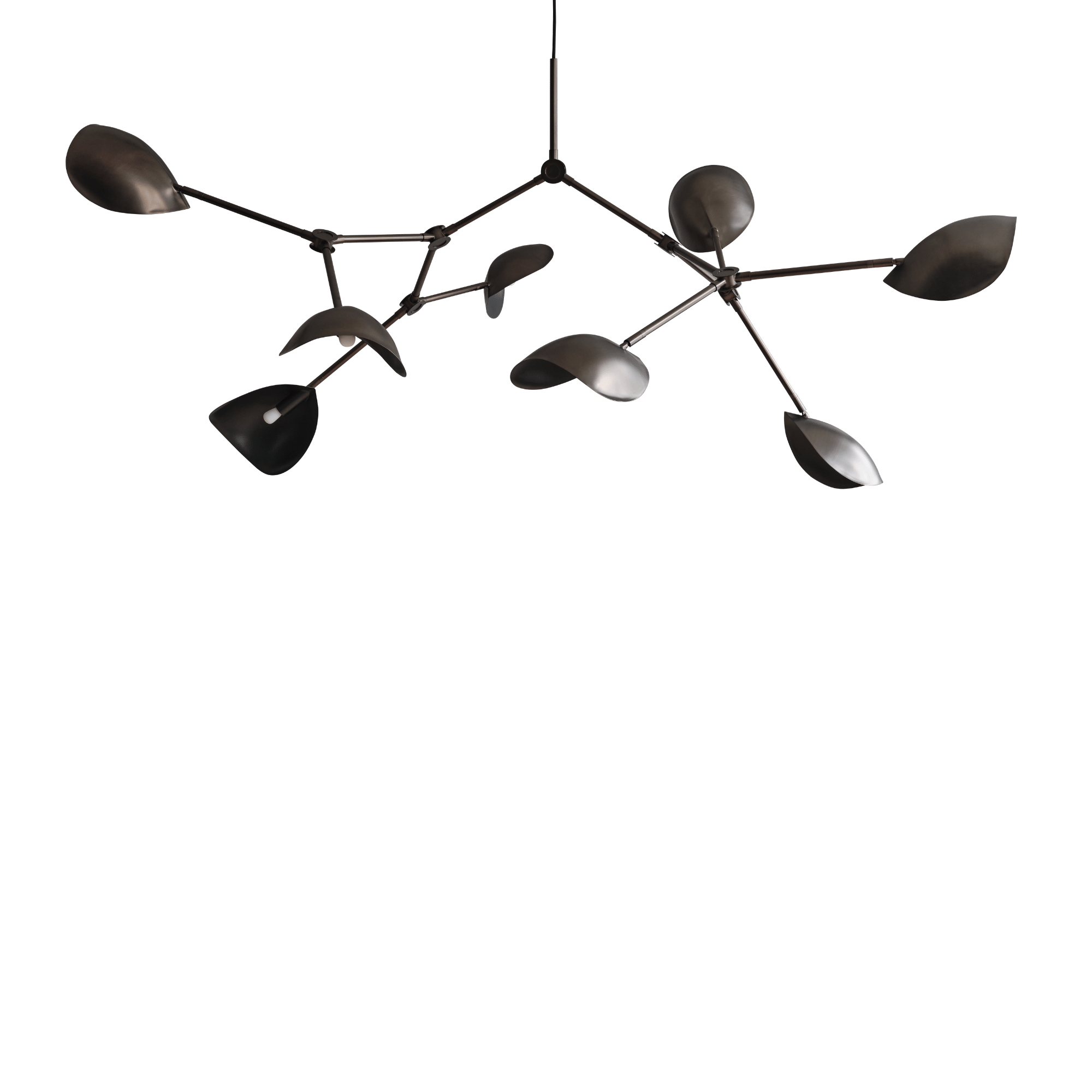 Stingray Chandelier - THAT COOL LIVING