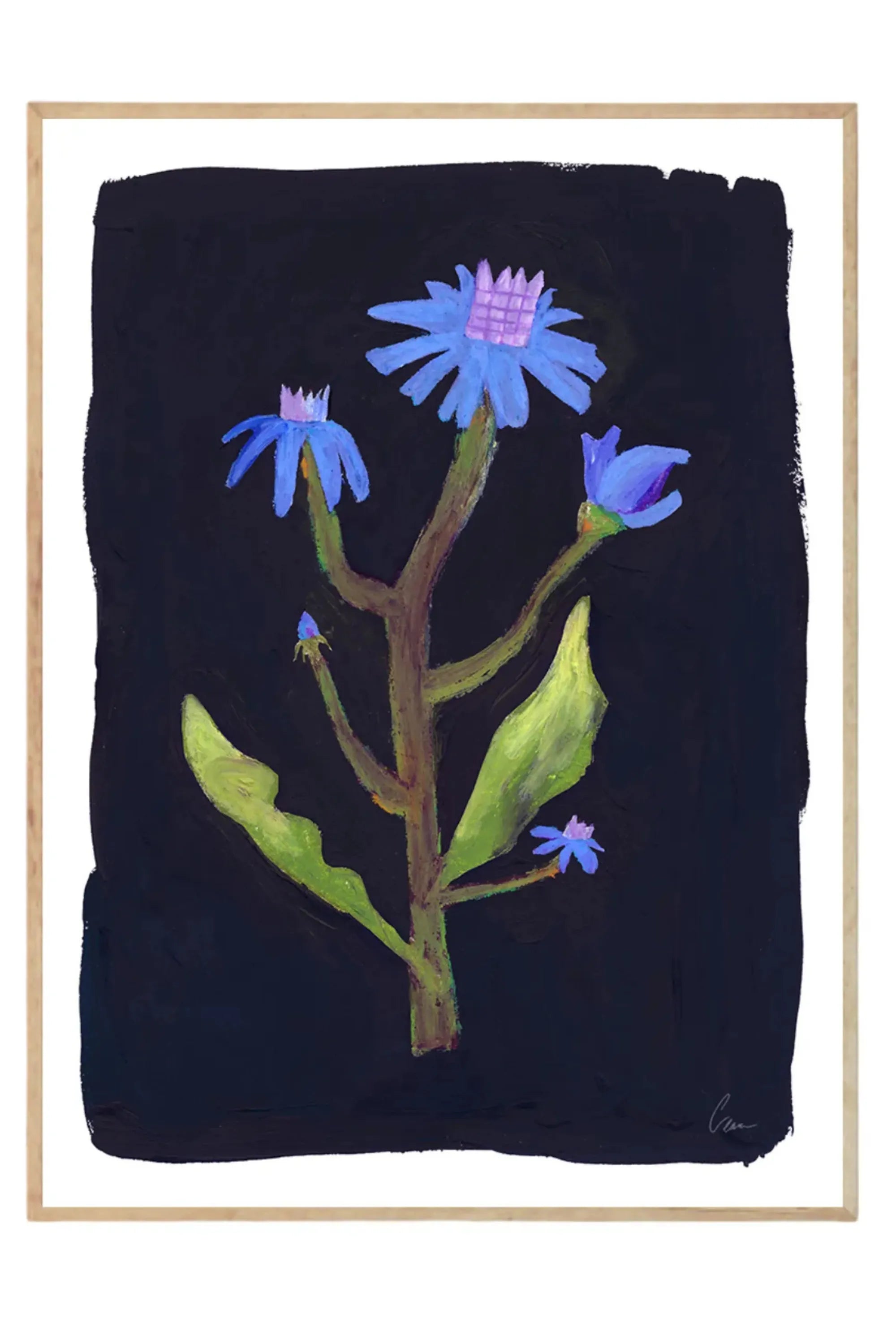 Night Flower