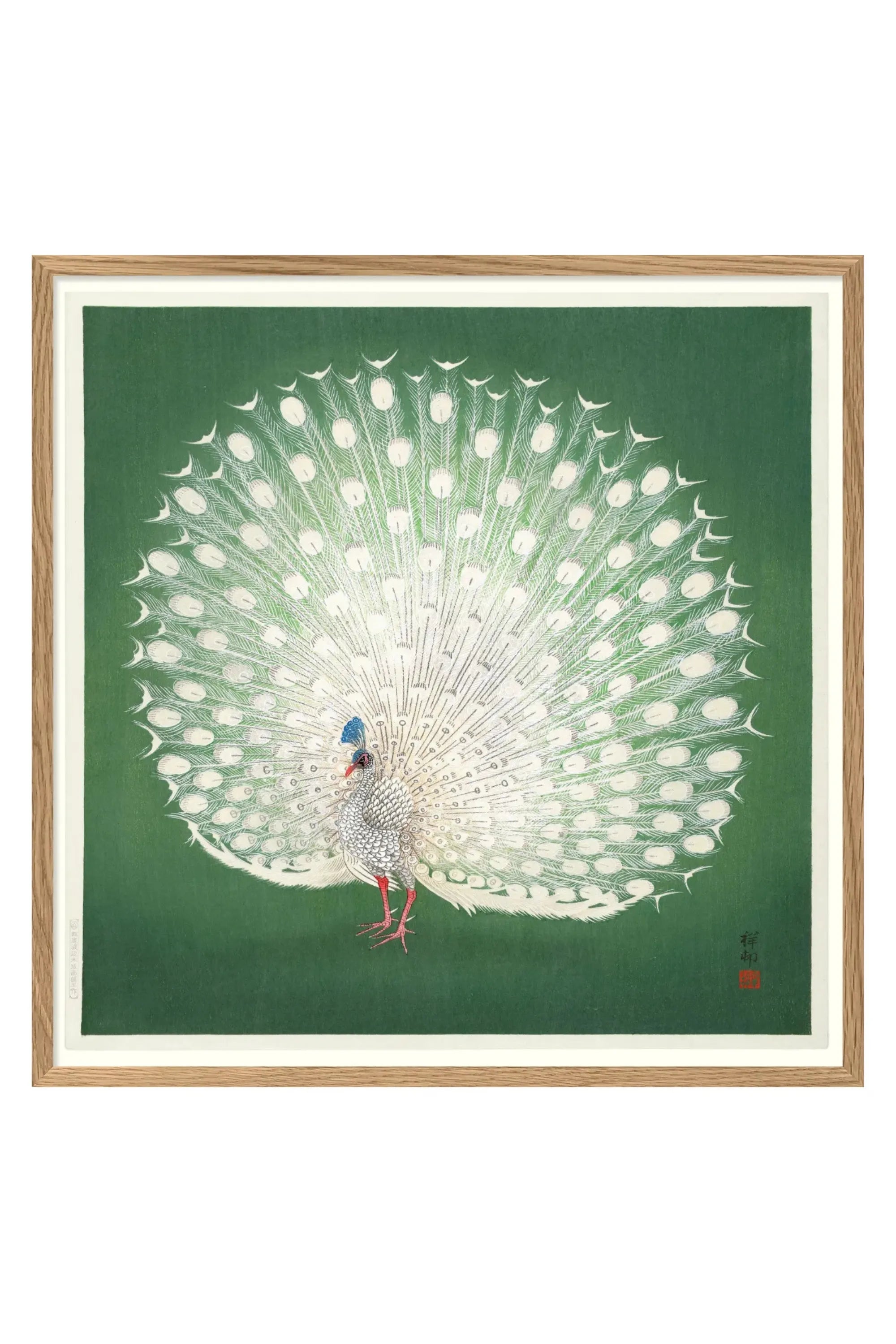 Peacock on Green - THAT COOL LIVING