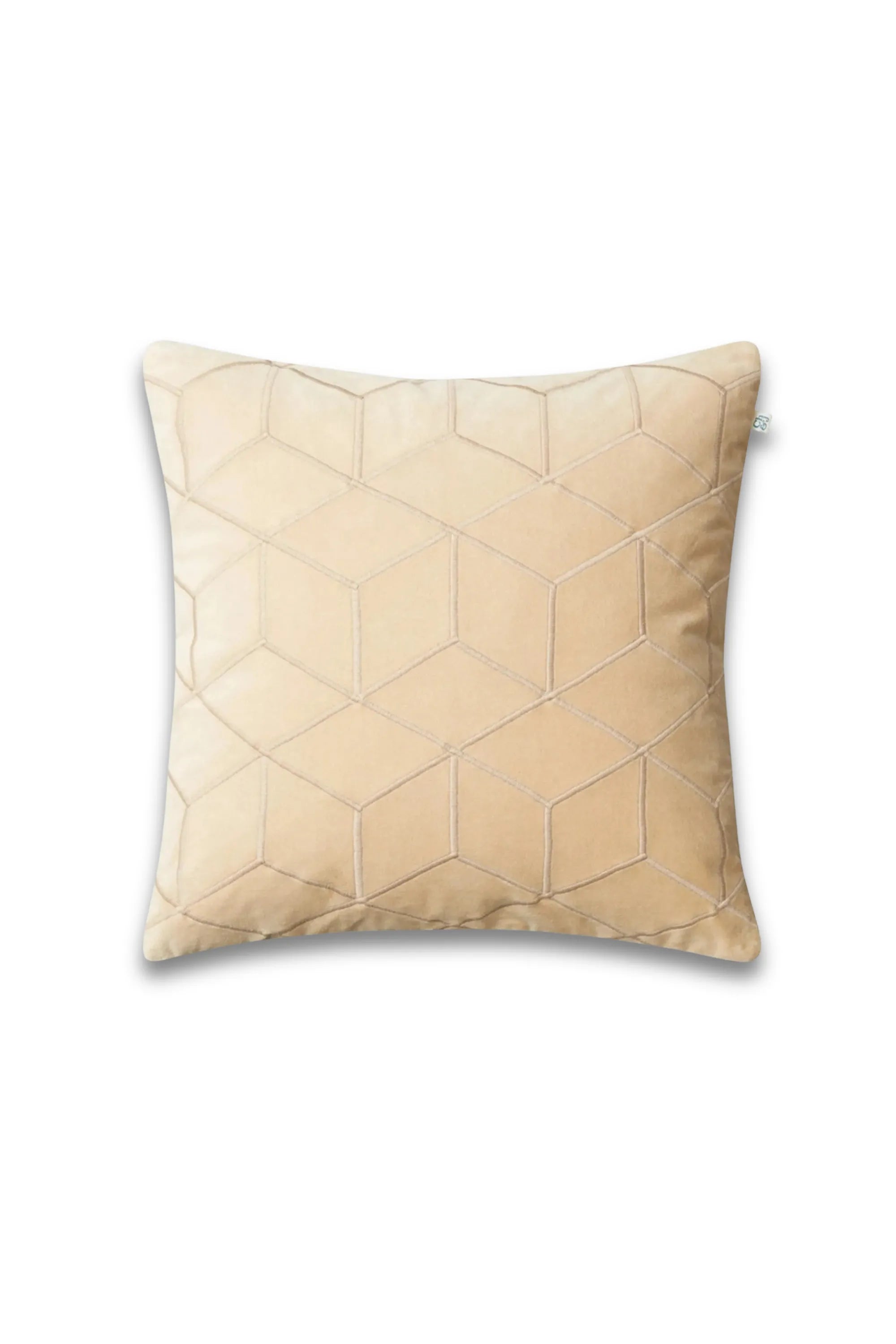 Vir Velvet Throw Pillow