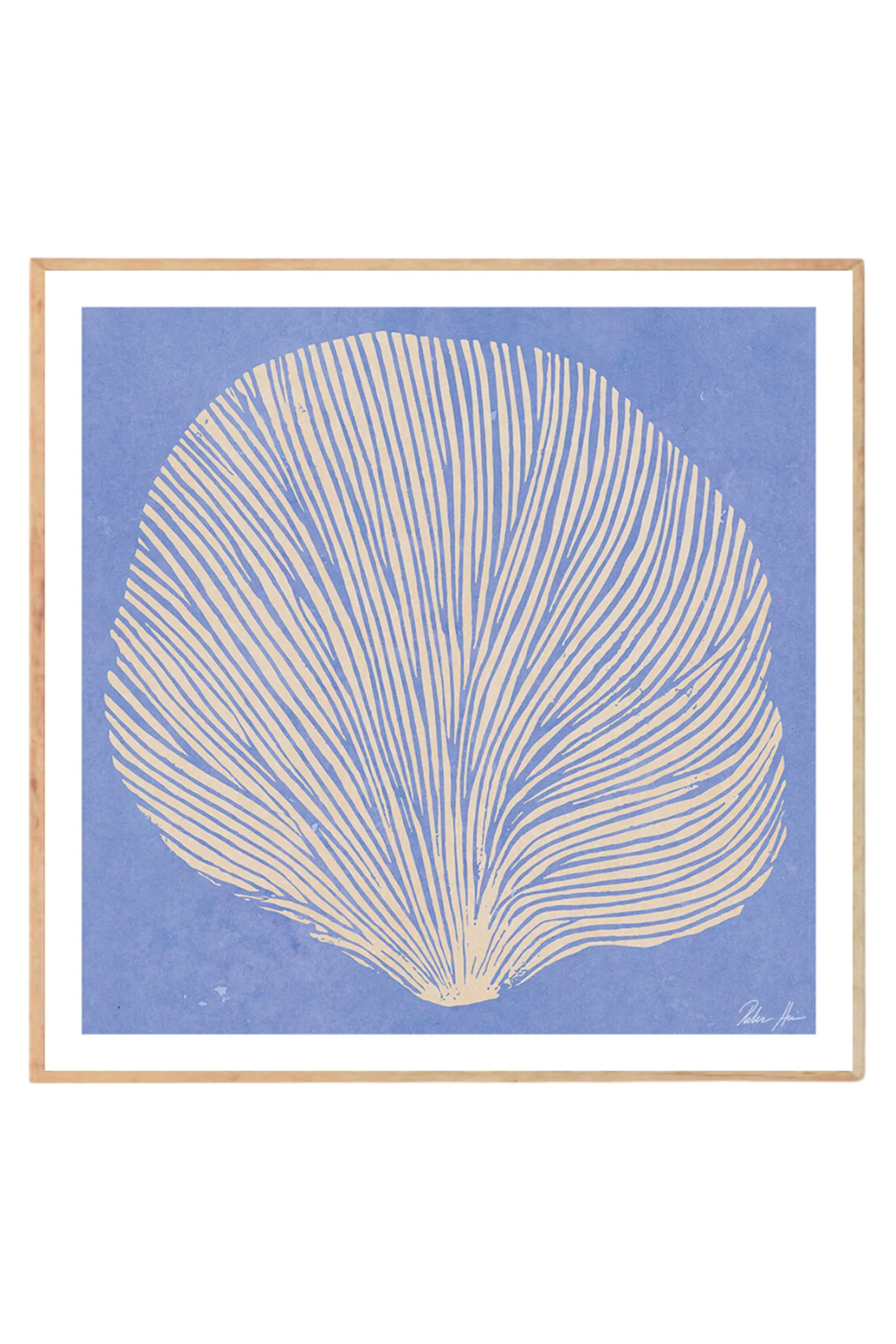 Sea Lavender