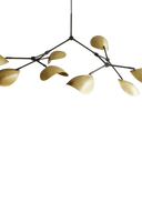 Stingray Chandelier - THAT COOL LIVING