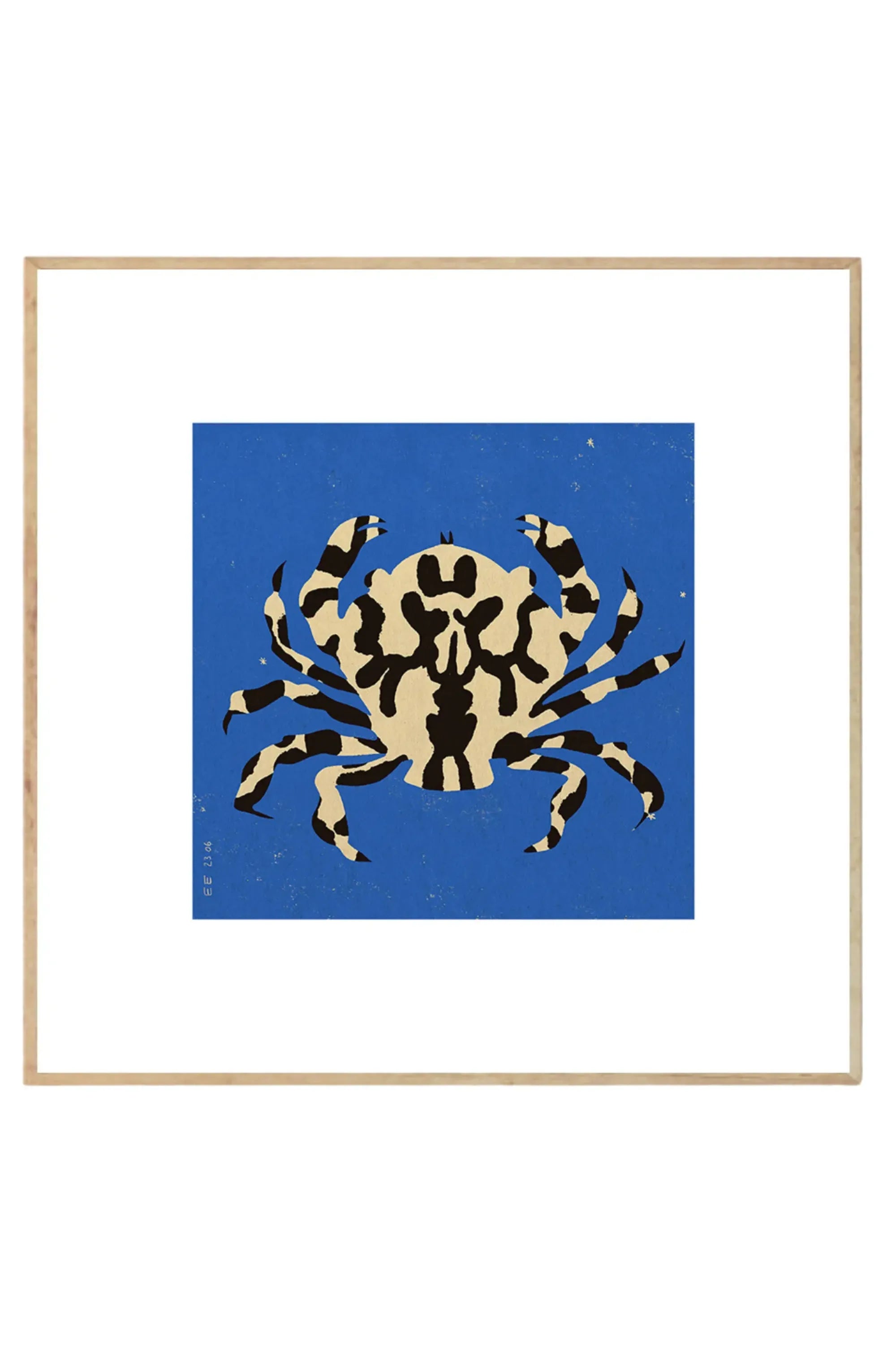 Calico Crab