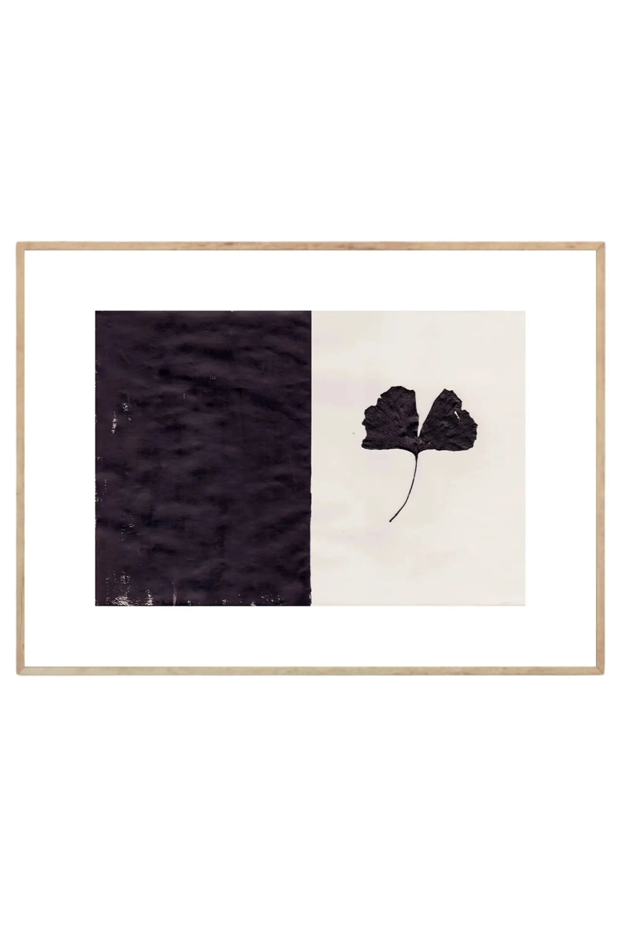 Black Ginkgo