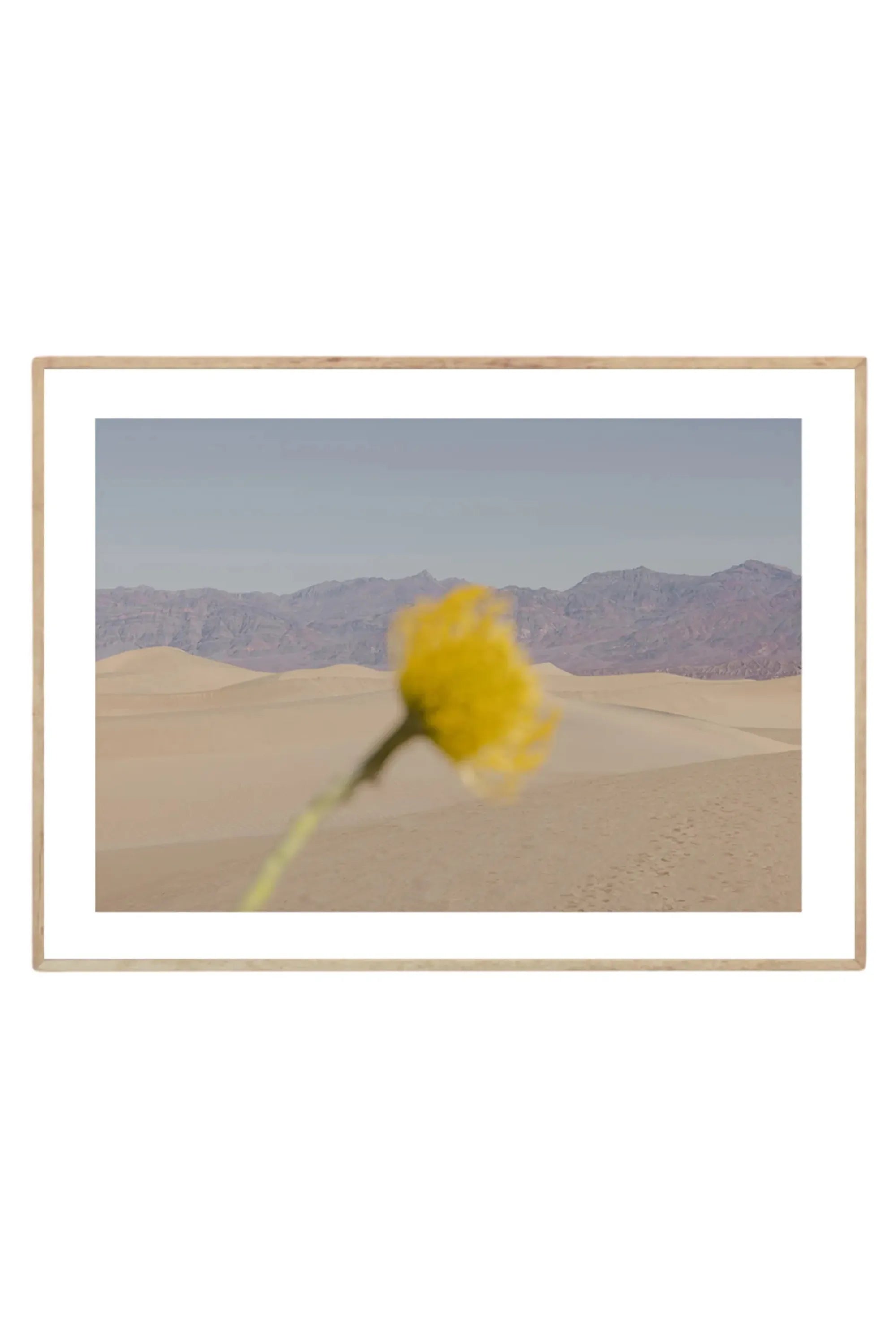 Desert Mirage