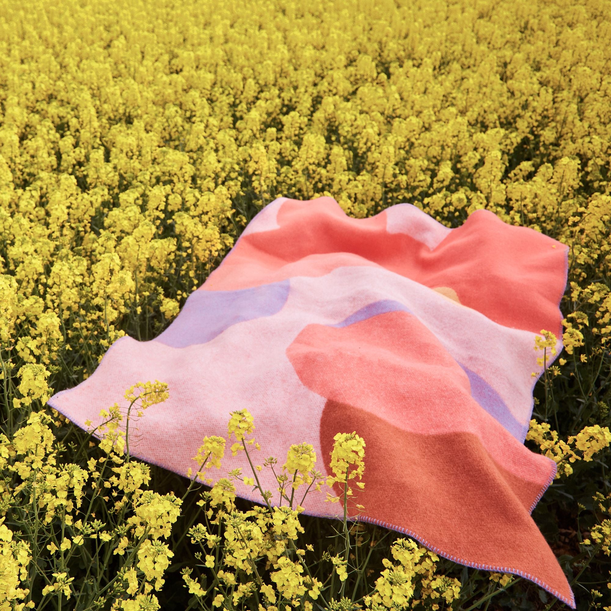 Flower Field Wool Blanket - THAT COOL LIVING