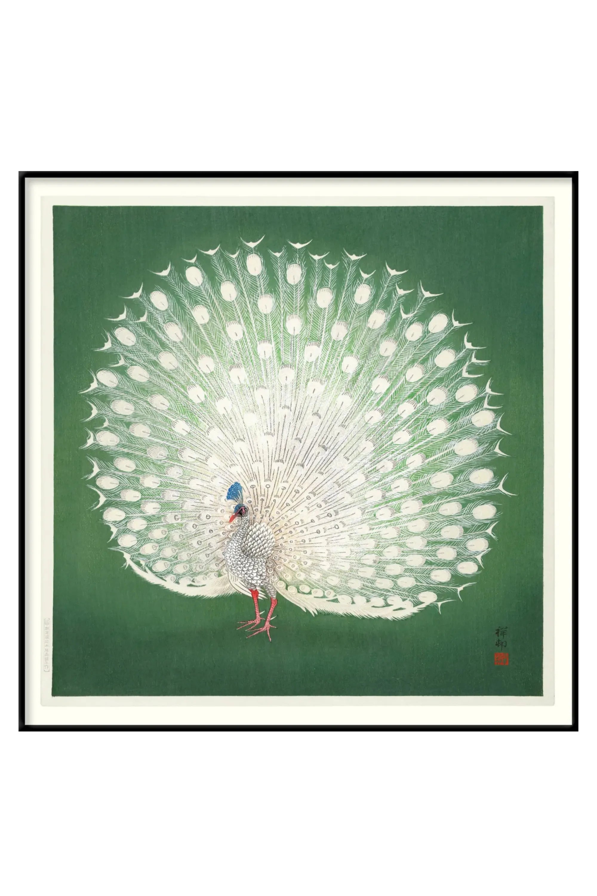 Peacock on Green - THAT COOL LIVING