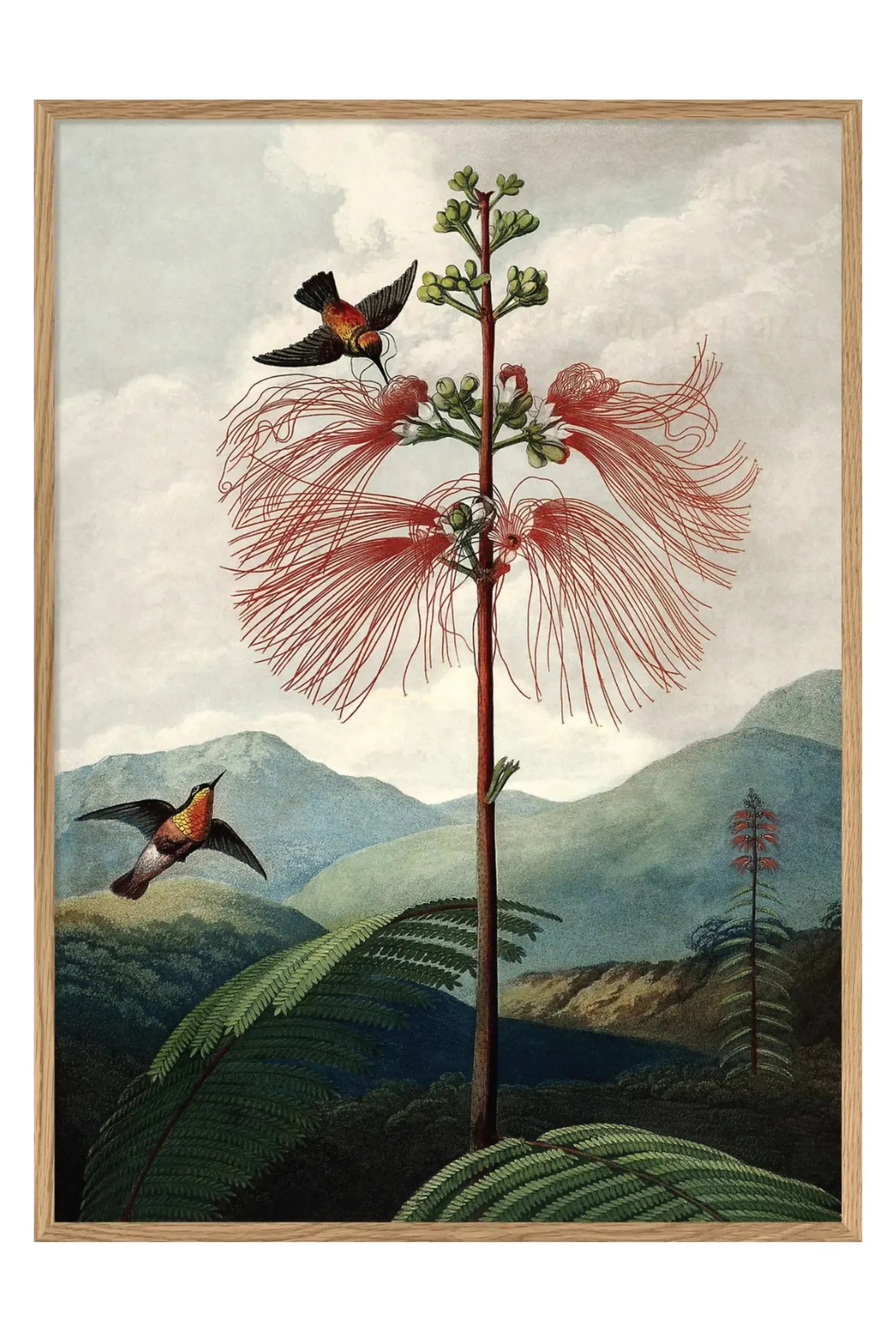 The Tree of Flowers