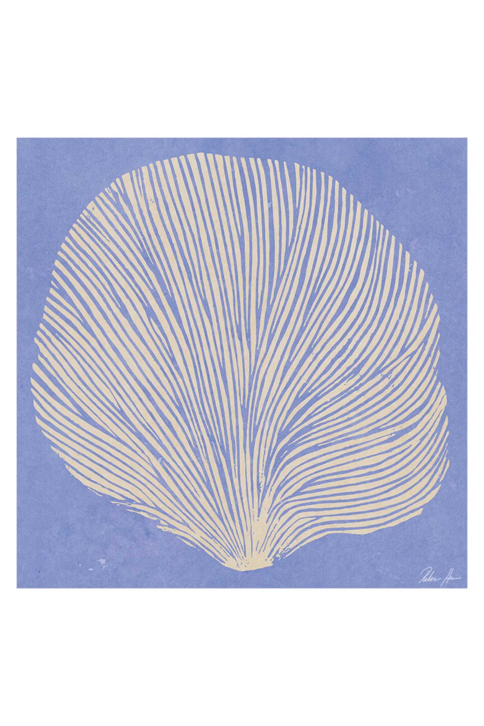 Sea Lavender