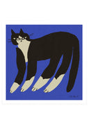 Cat in Blue - THAT COOL LIVING