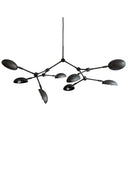 Drop Chandelier - THAT COOL LIVING