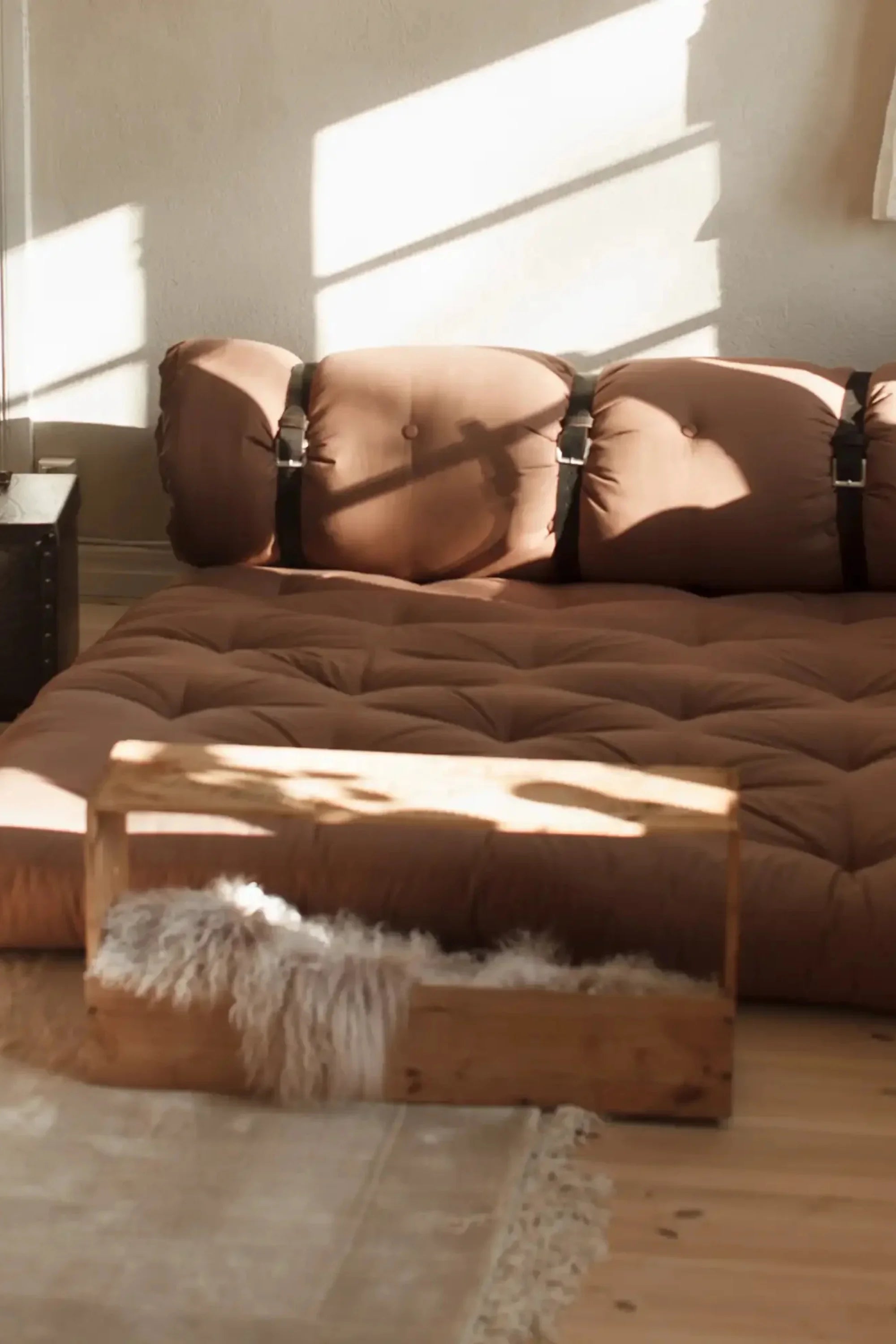 Buckle-Up Futon Sofa