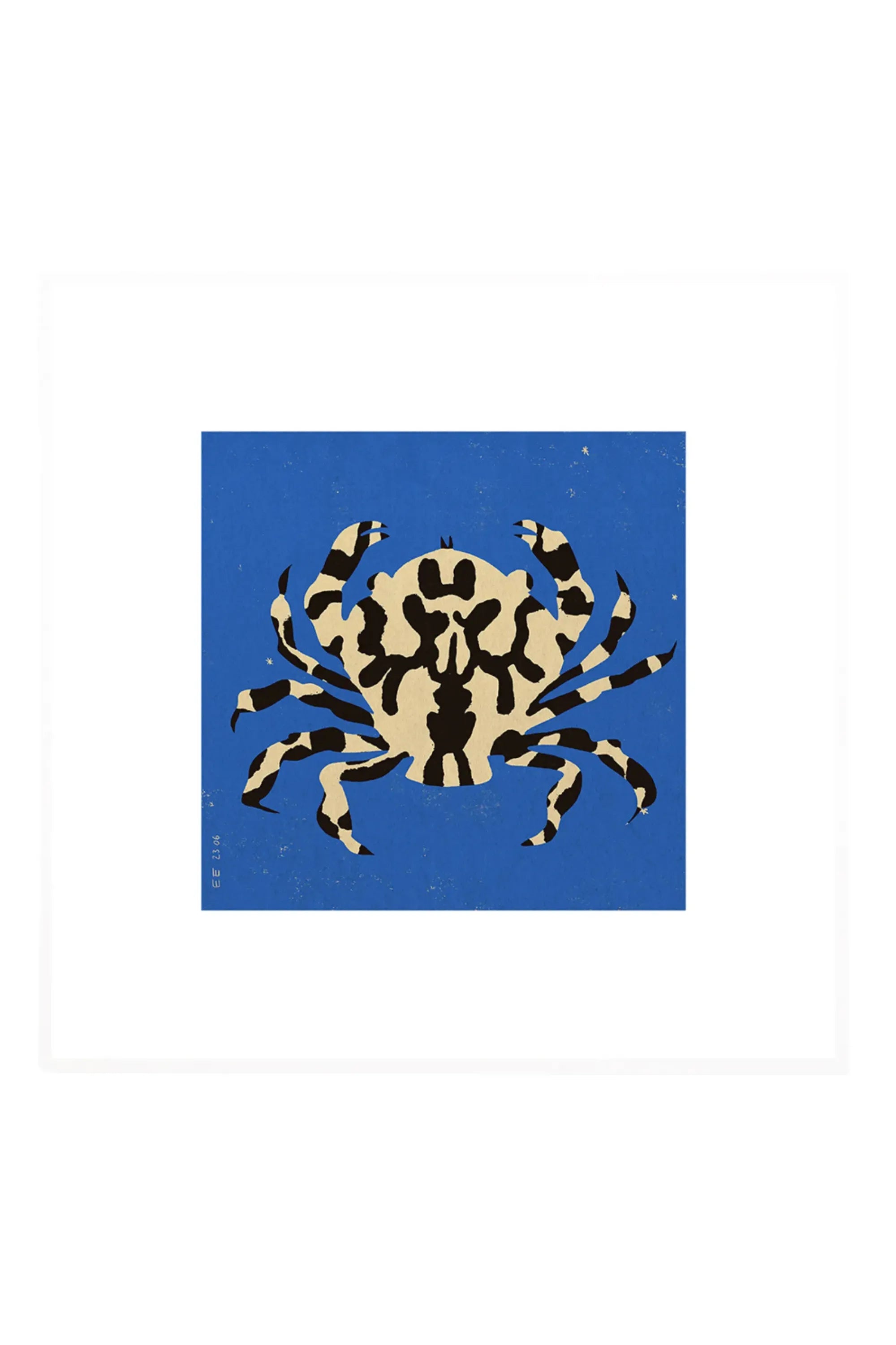 Calico Crab