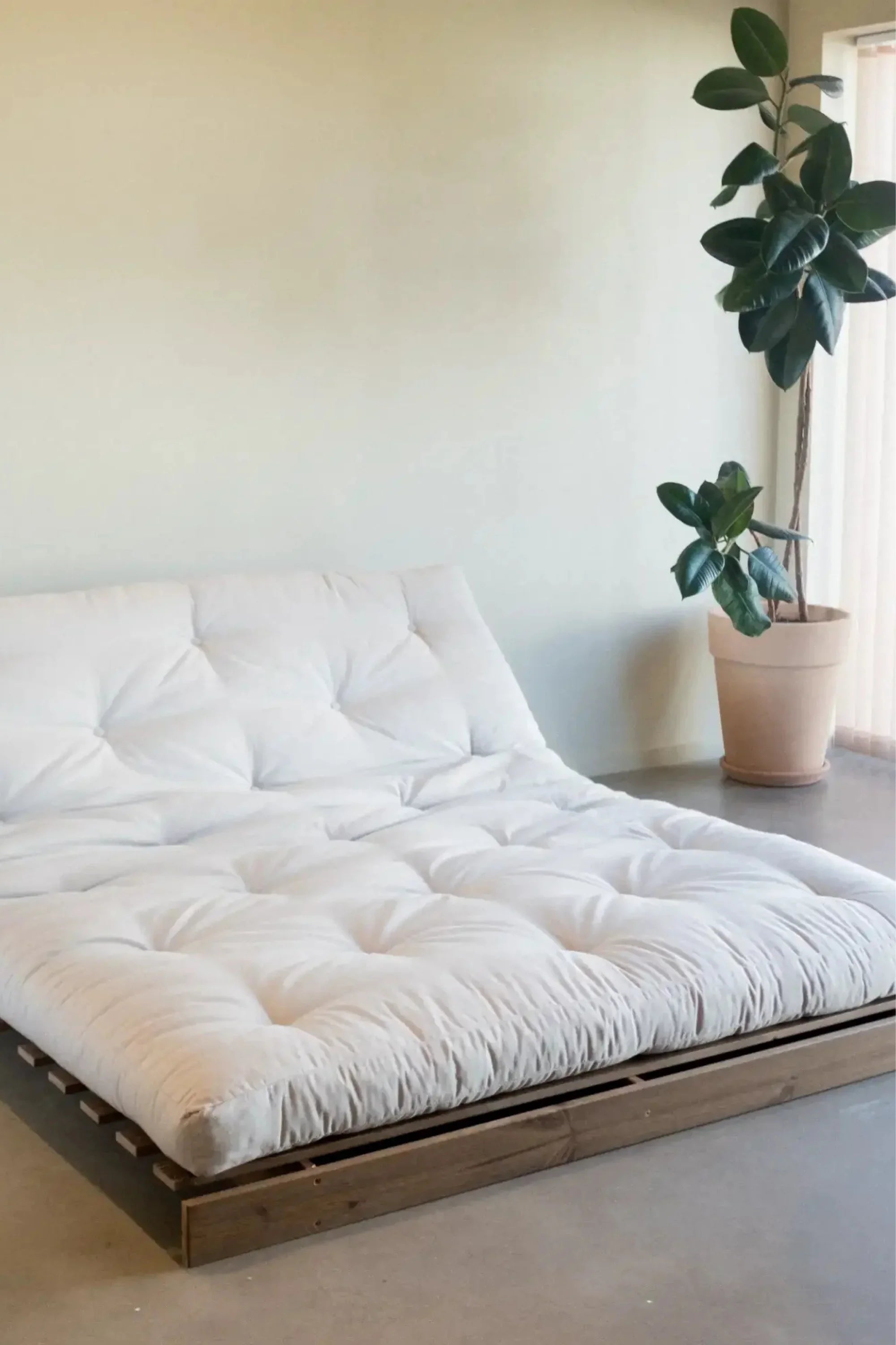 Roots 160 Sofa Bed