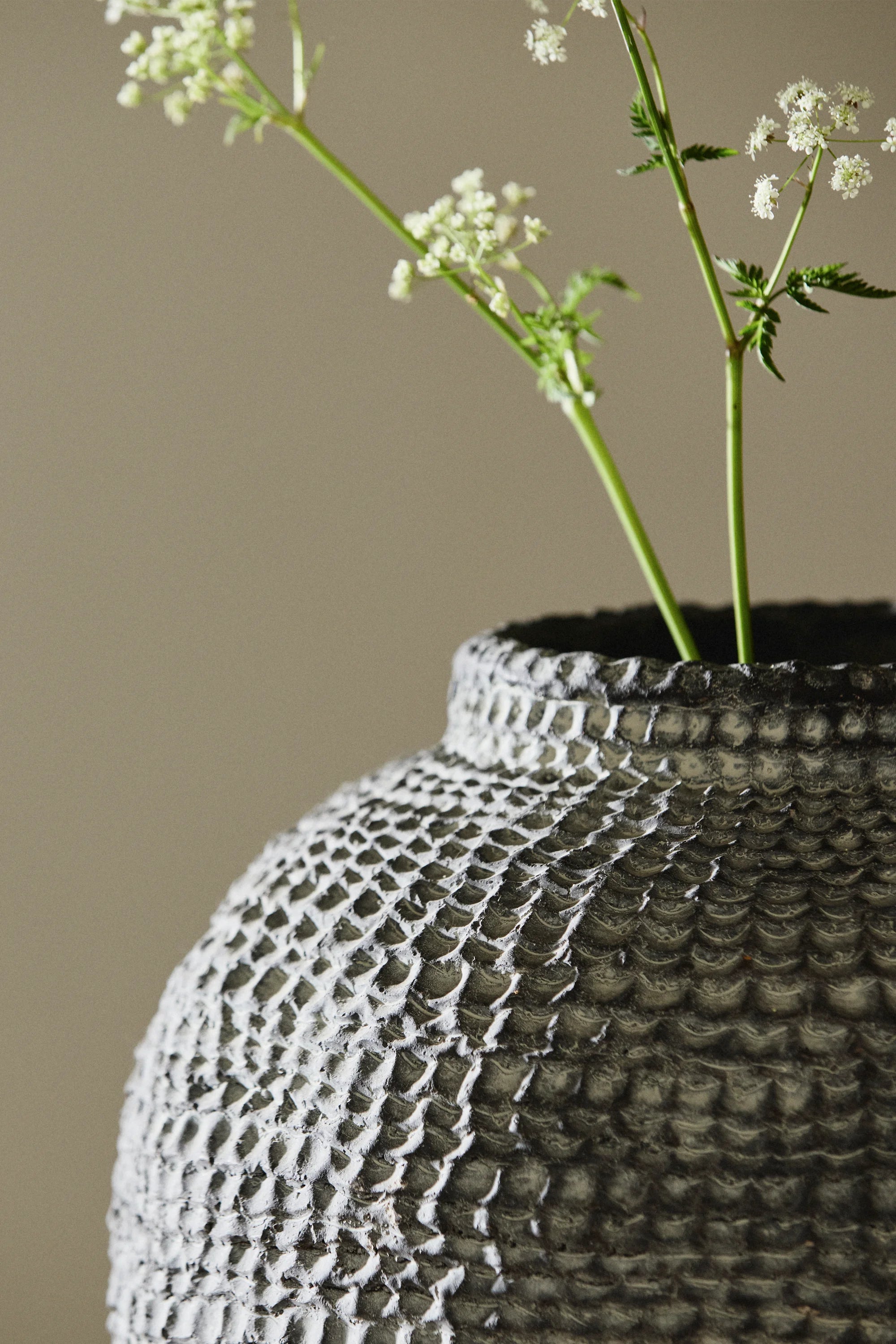 Rupa Planter
