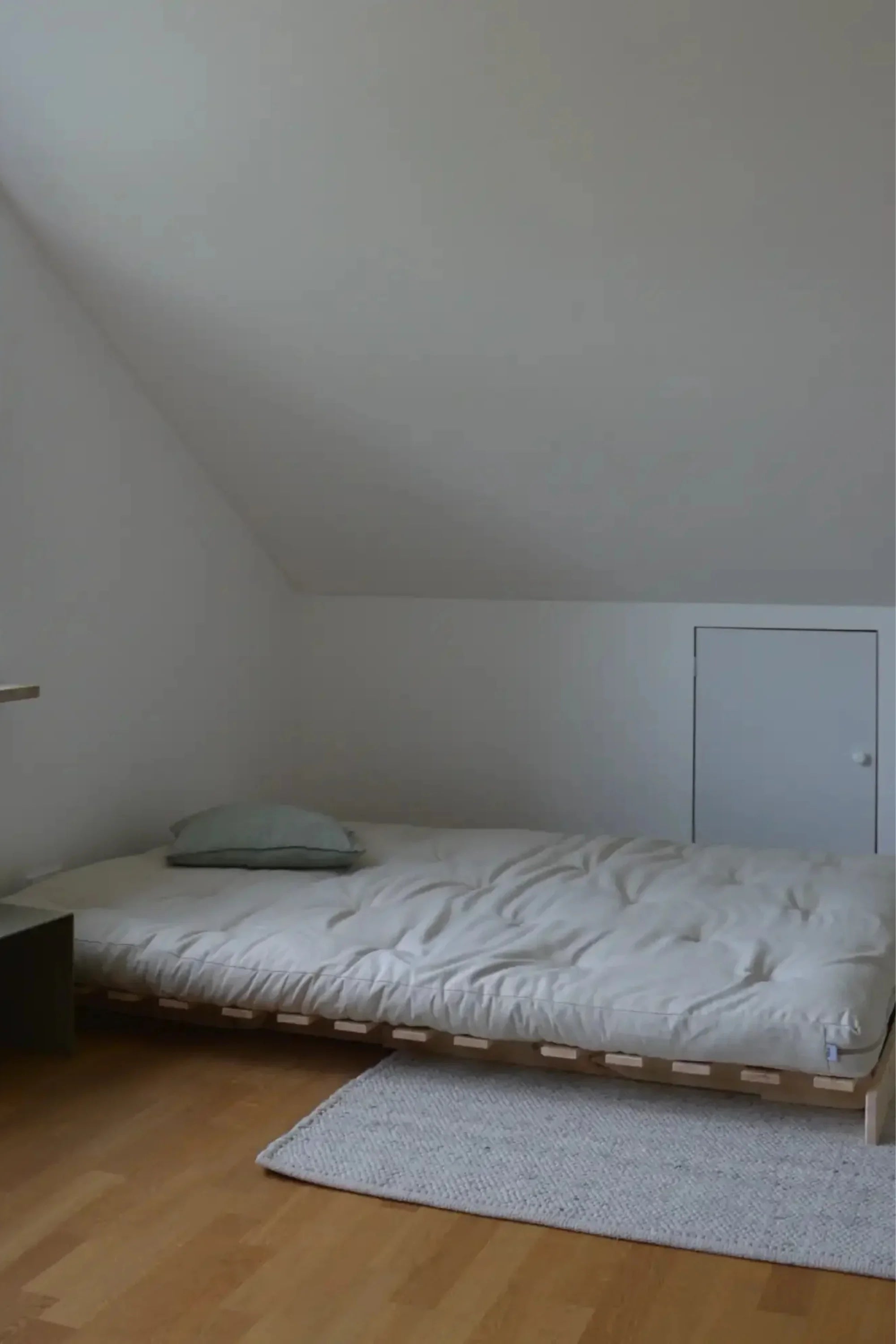 Roots 160 Sofa Bed