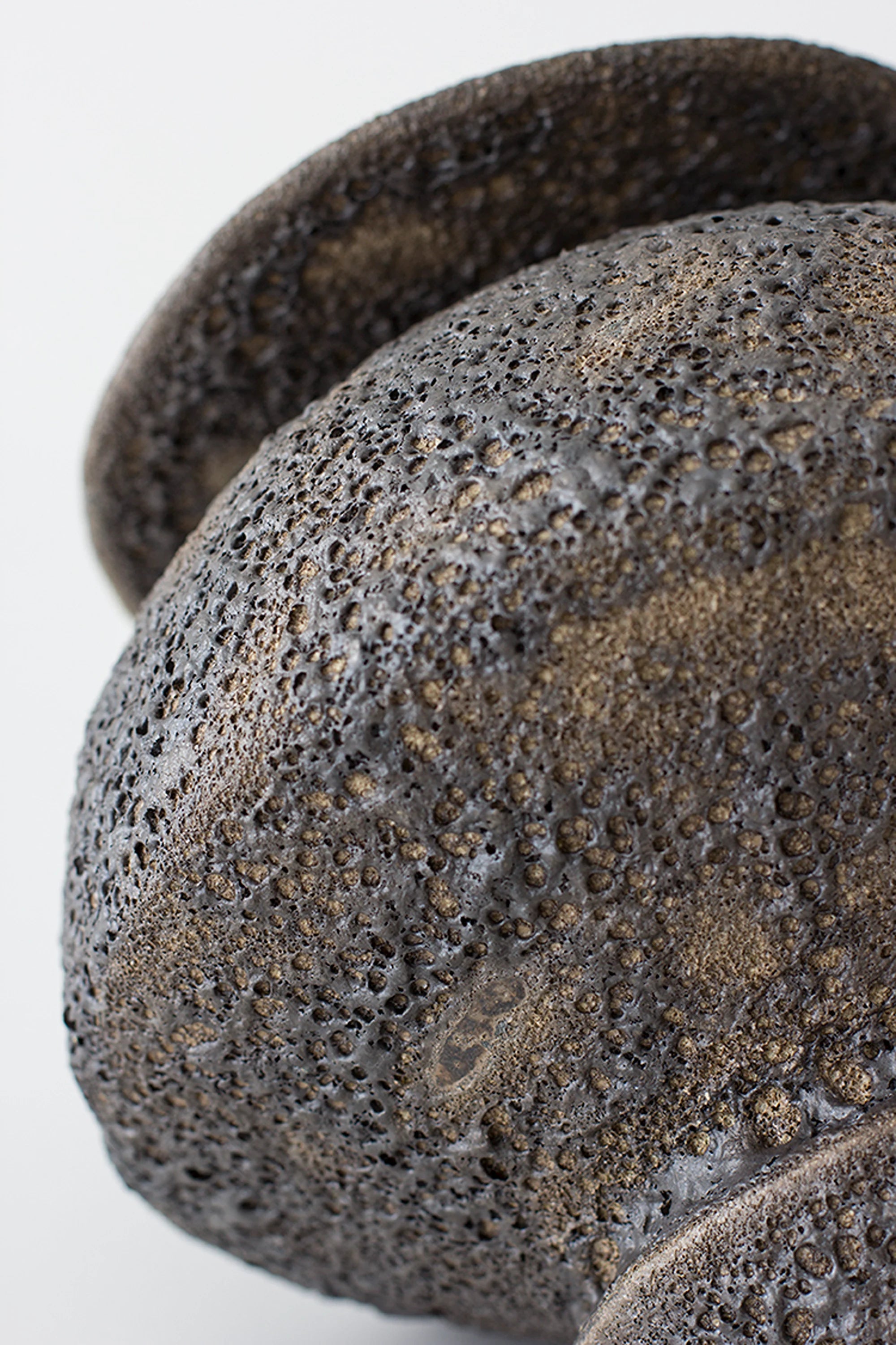 Close-up of a textured stone-like object on a white background