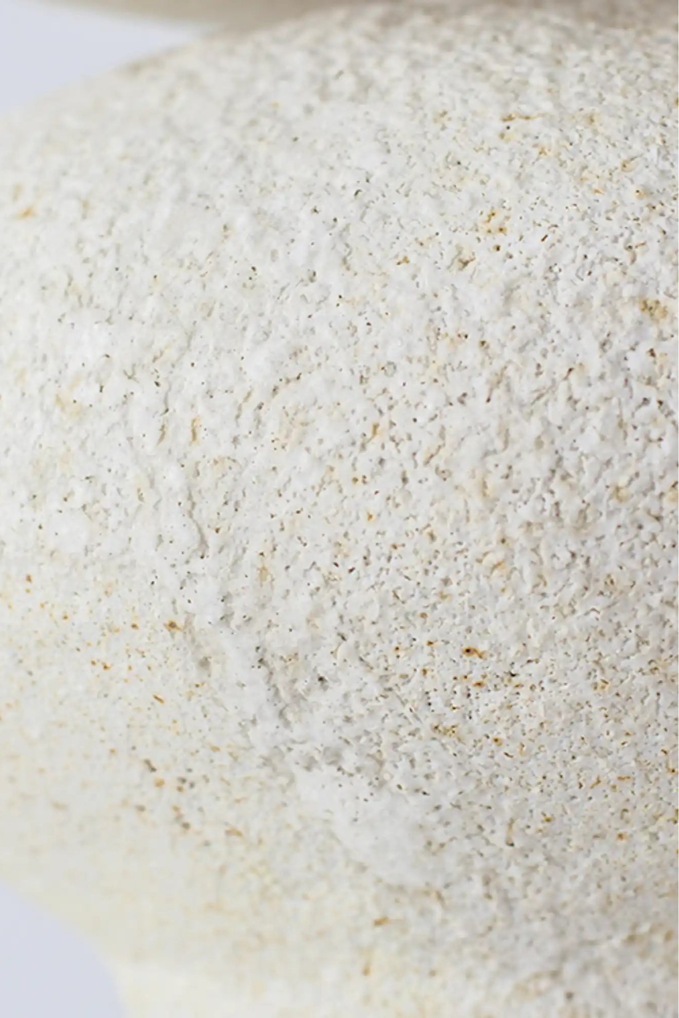 Isolated n.19 Vase - THAT COOL LIVING