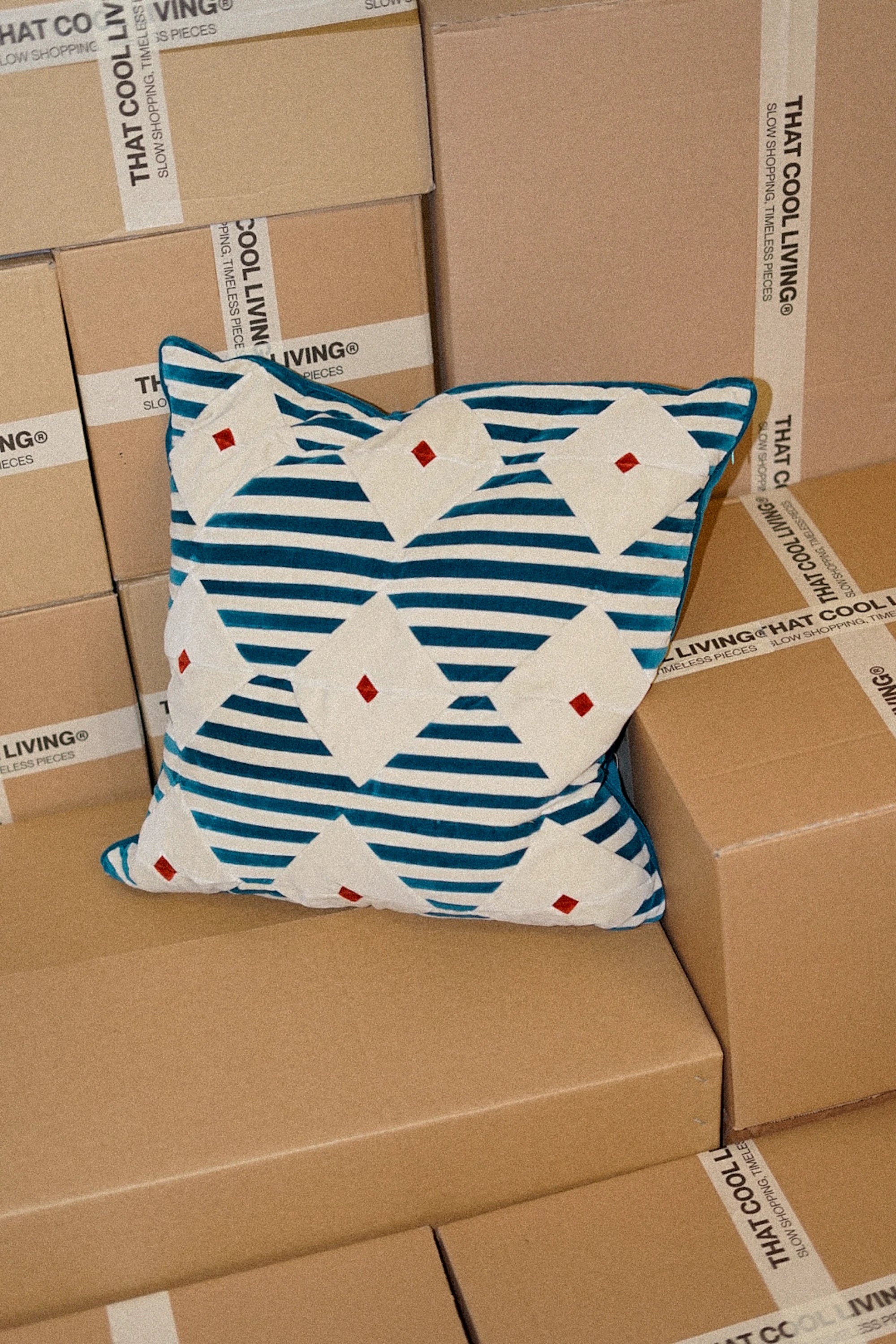 Nina Throw Pillow - THAT COOL LIVING