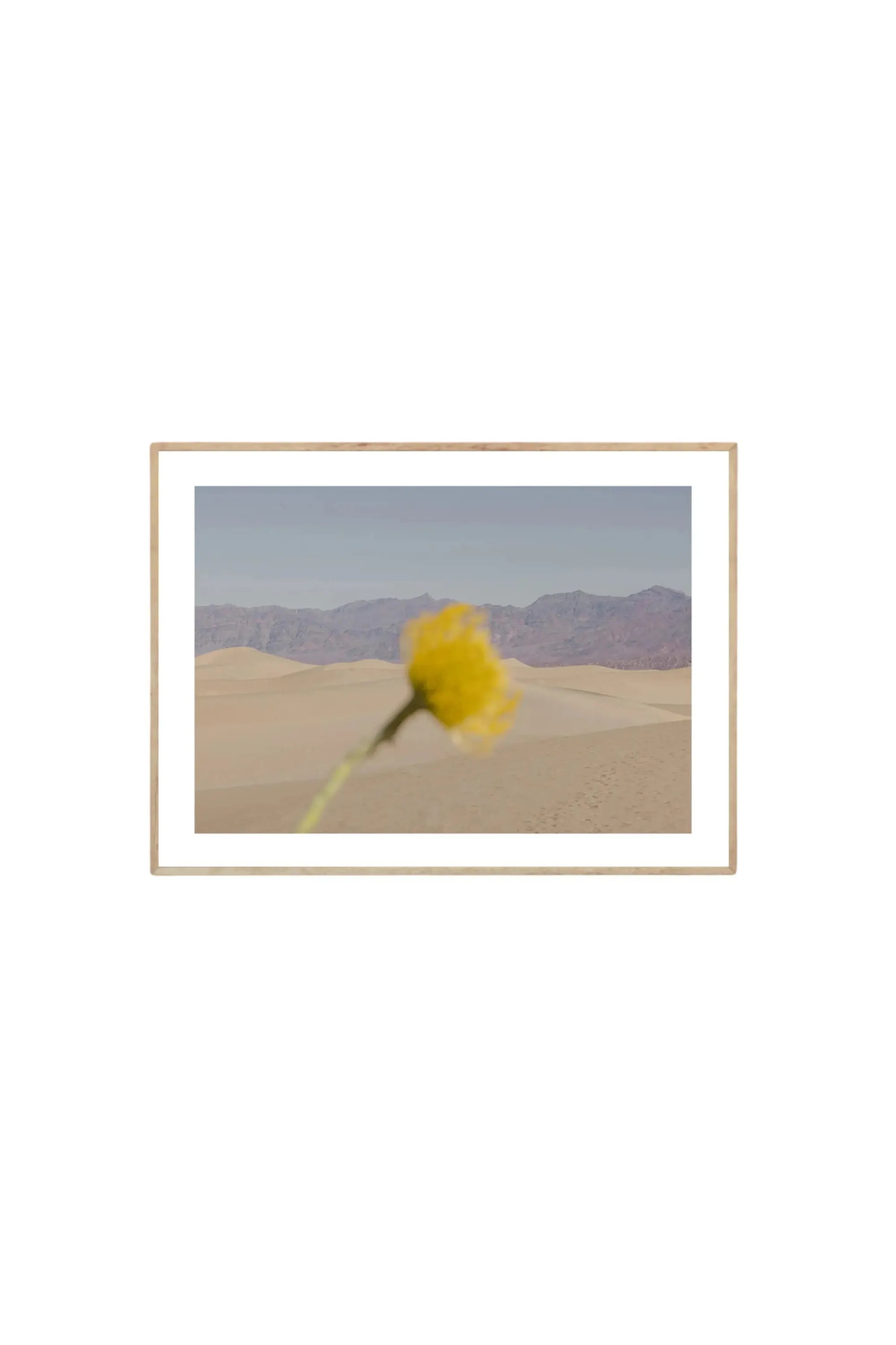 Desert Mirage - Art Print