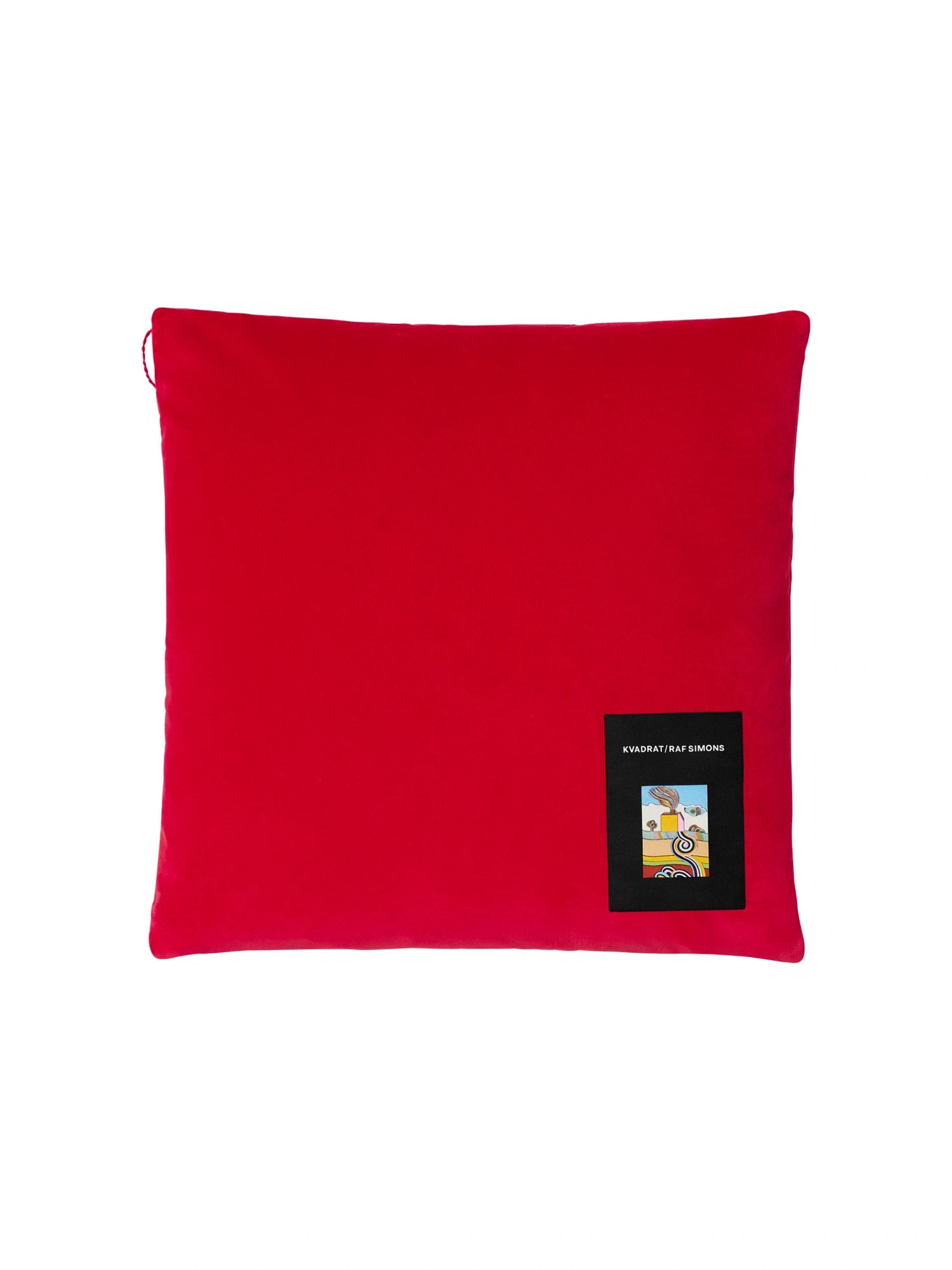 Asator Velvet Cushion