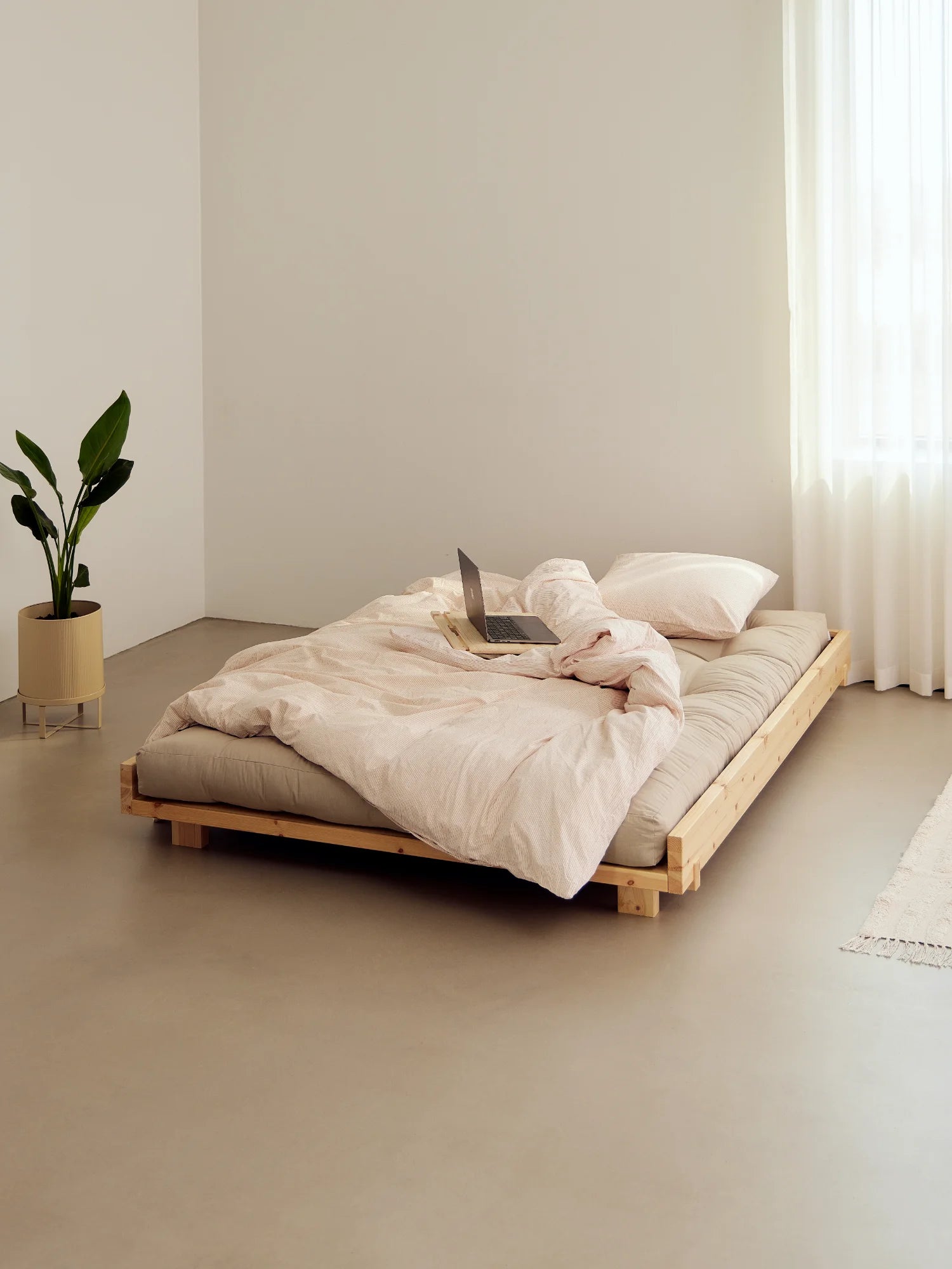 Social Bed
