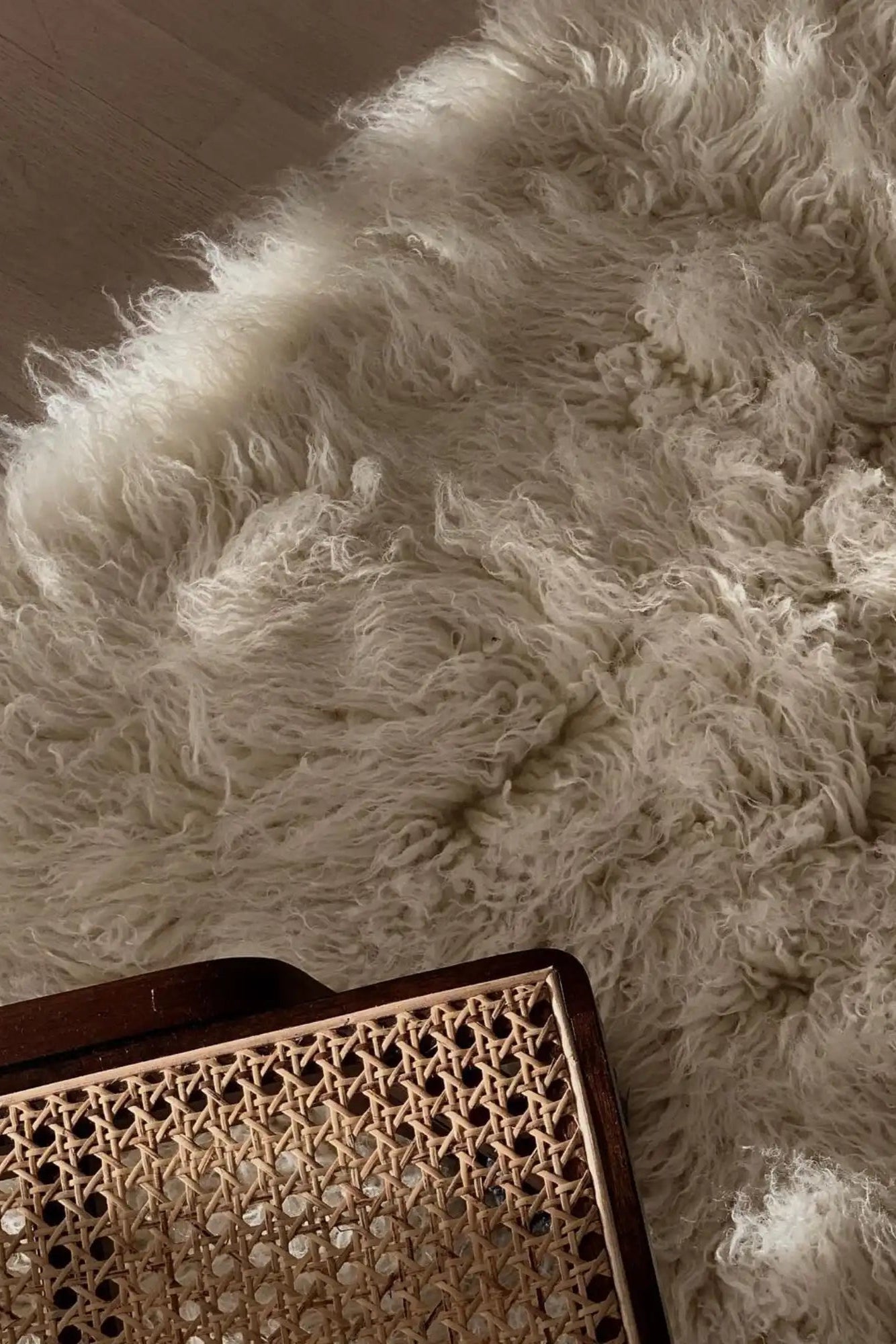 Shaggy Rug - THAT COOL LIVING