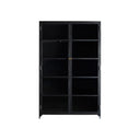 Metal 2-Door Cabinet with adjustable shelves and sleek black finish