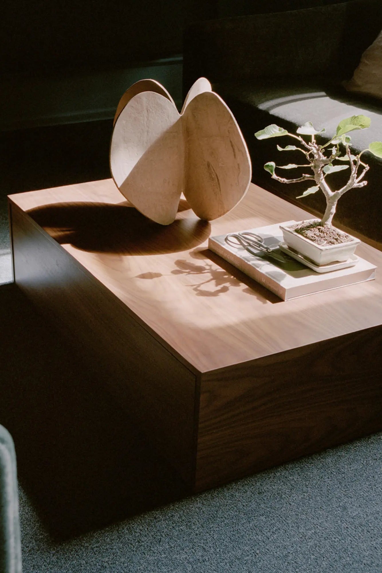 Contemporary and functional coffee table with a convenient drawer