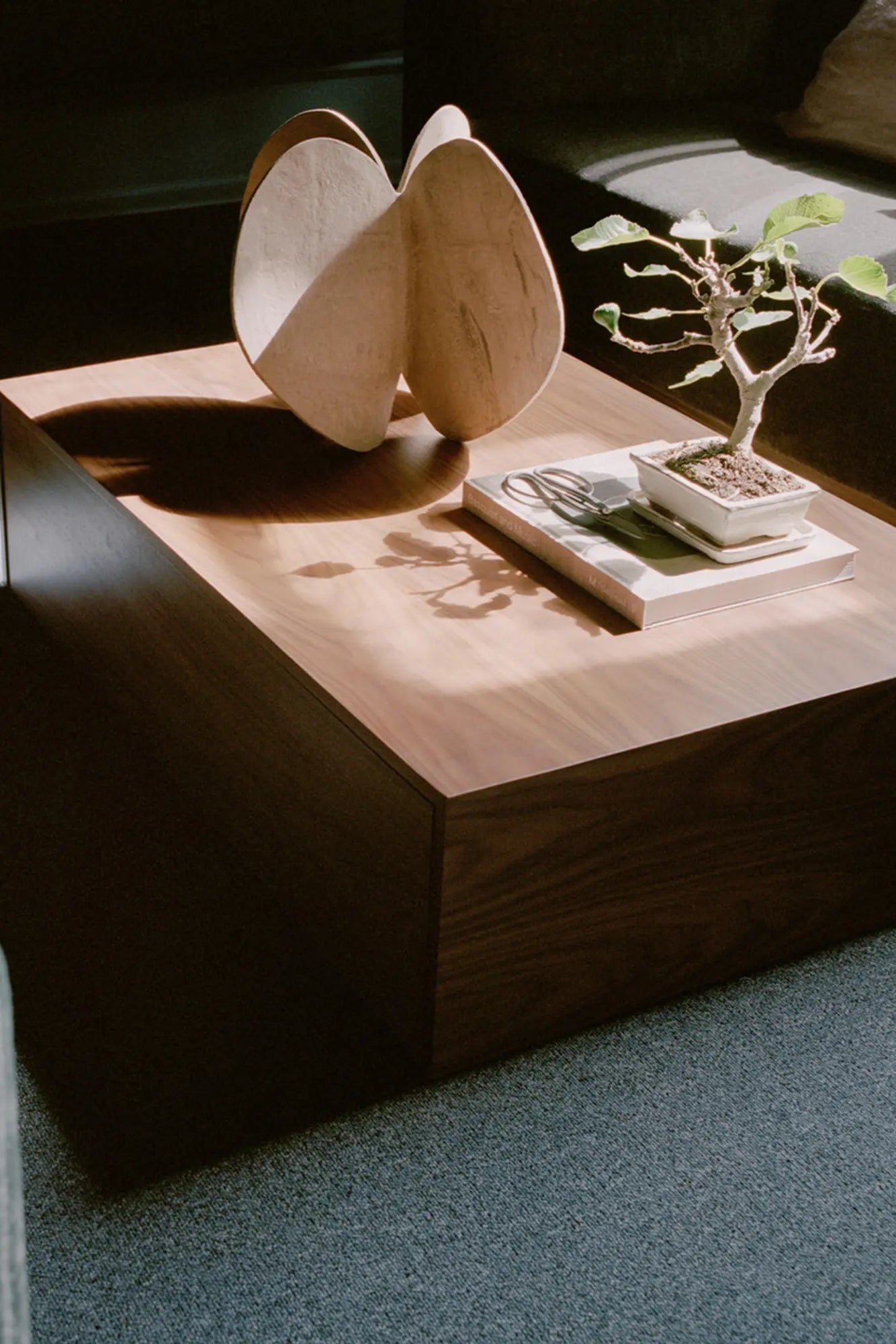 Modern and stylish coffee table with ample storage space