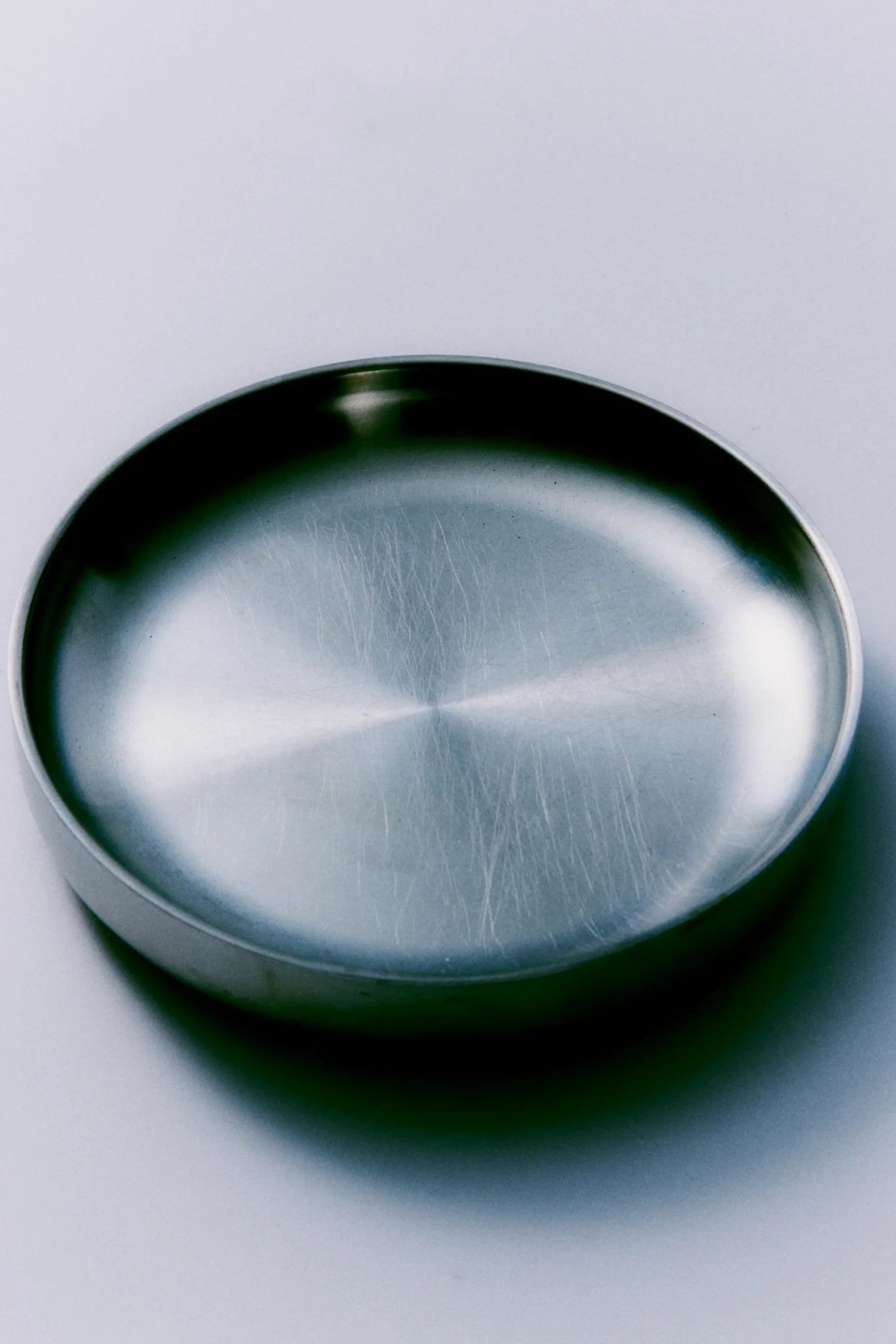 Stainless Steel Pasta Plate