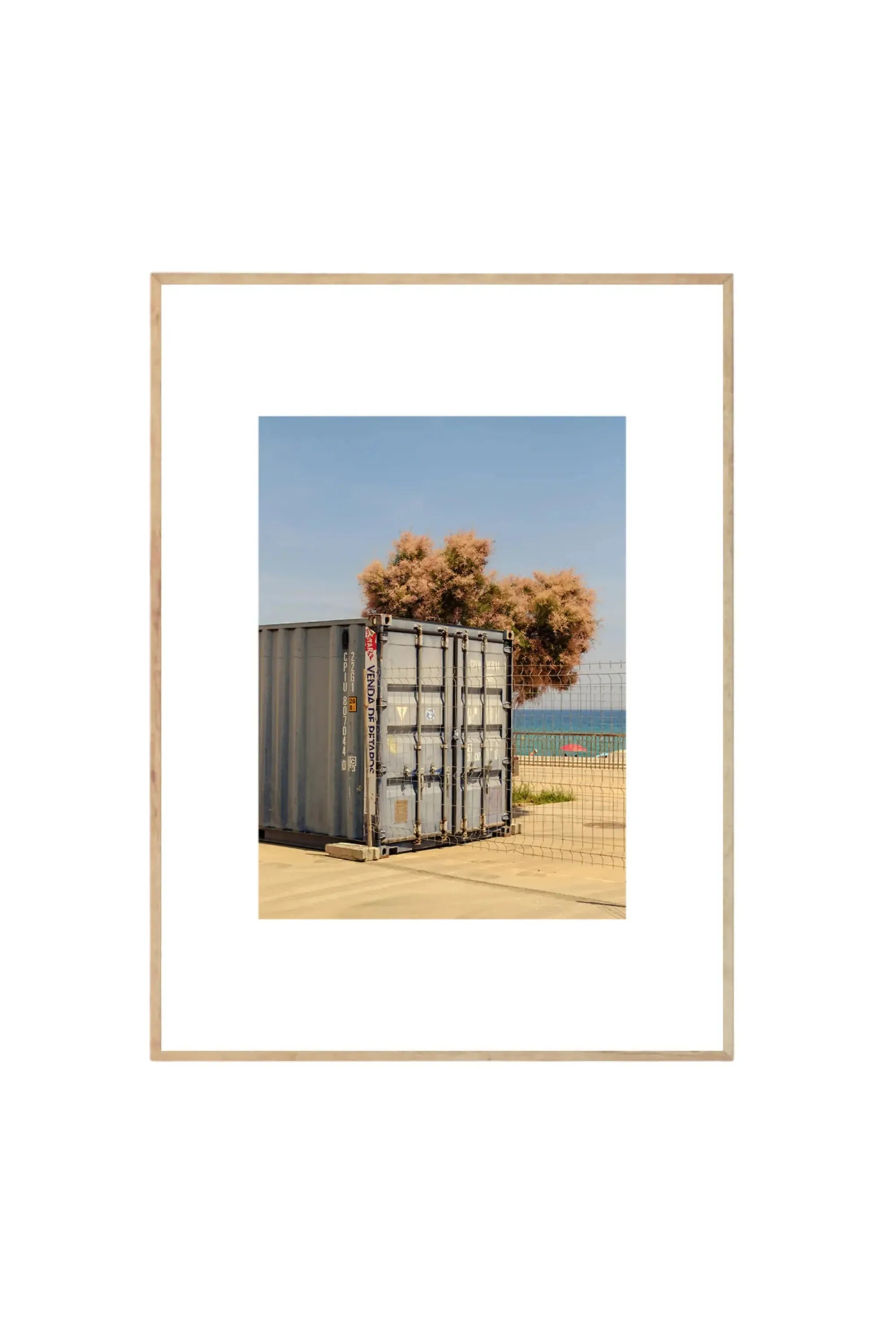 The Hidden Tree - Art Print