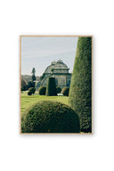Topiary - Art Print