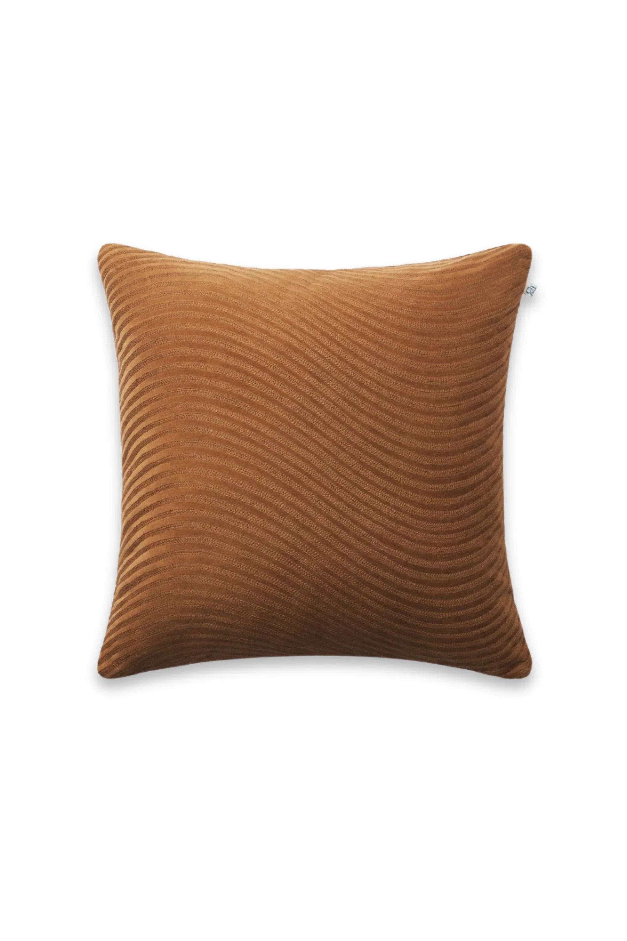 Kunal Velvet Throw Pillow