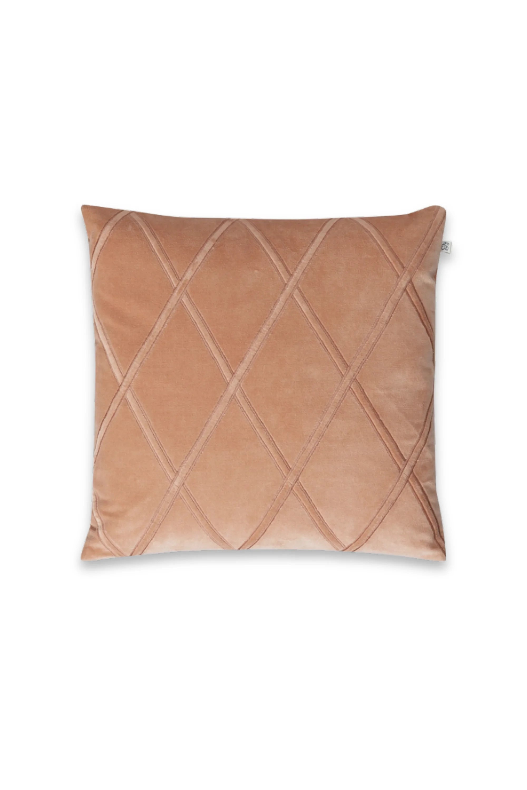 Orissa Velvet Throw Pillow