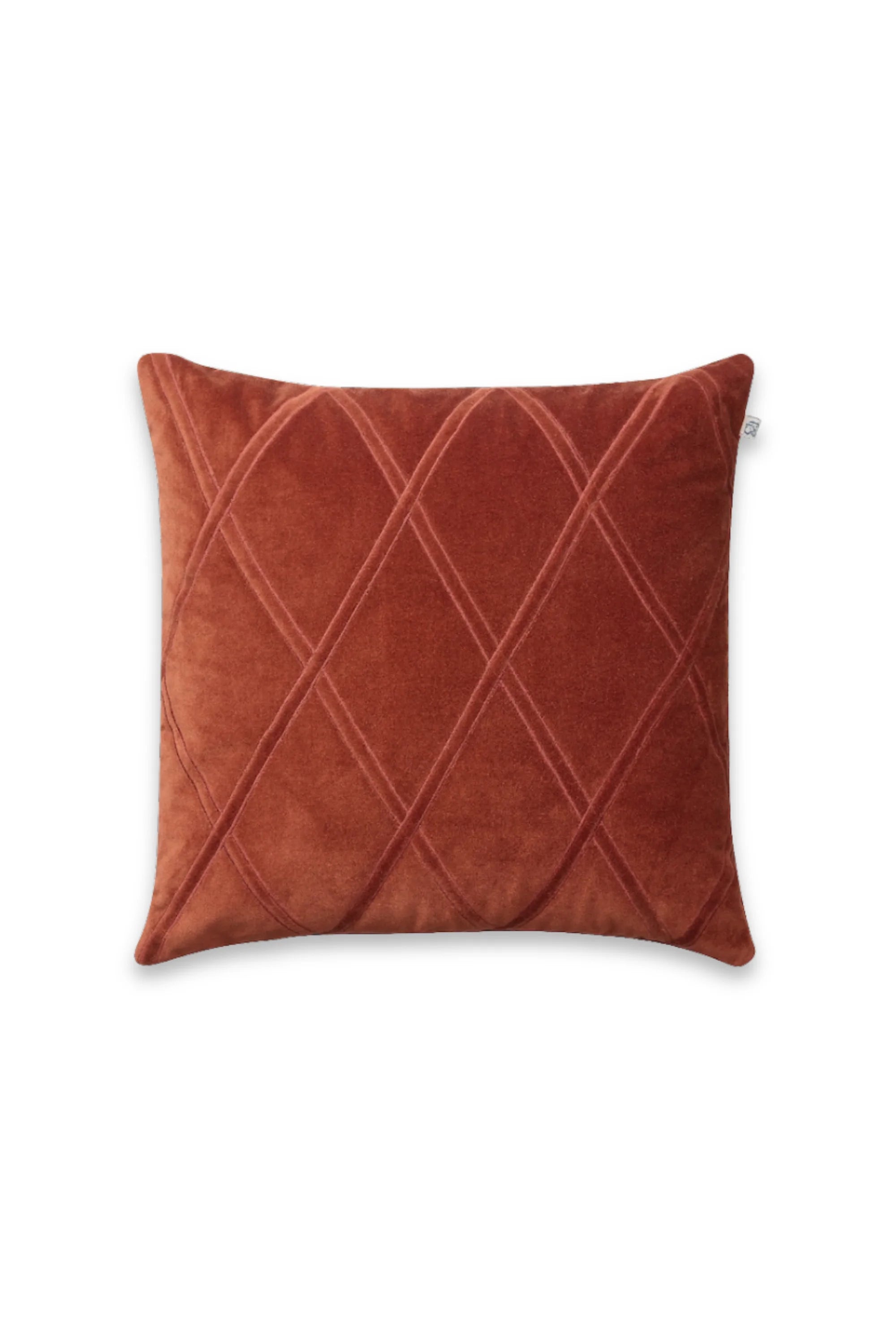 Orissa Velvet Throw Pillow