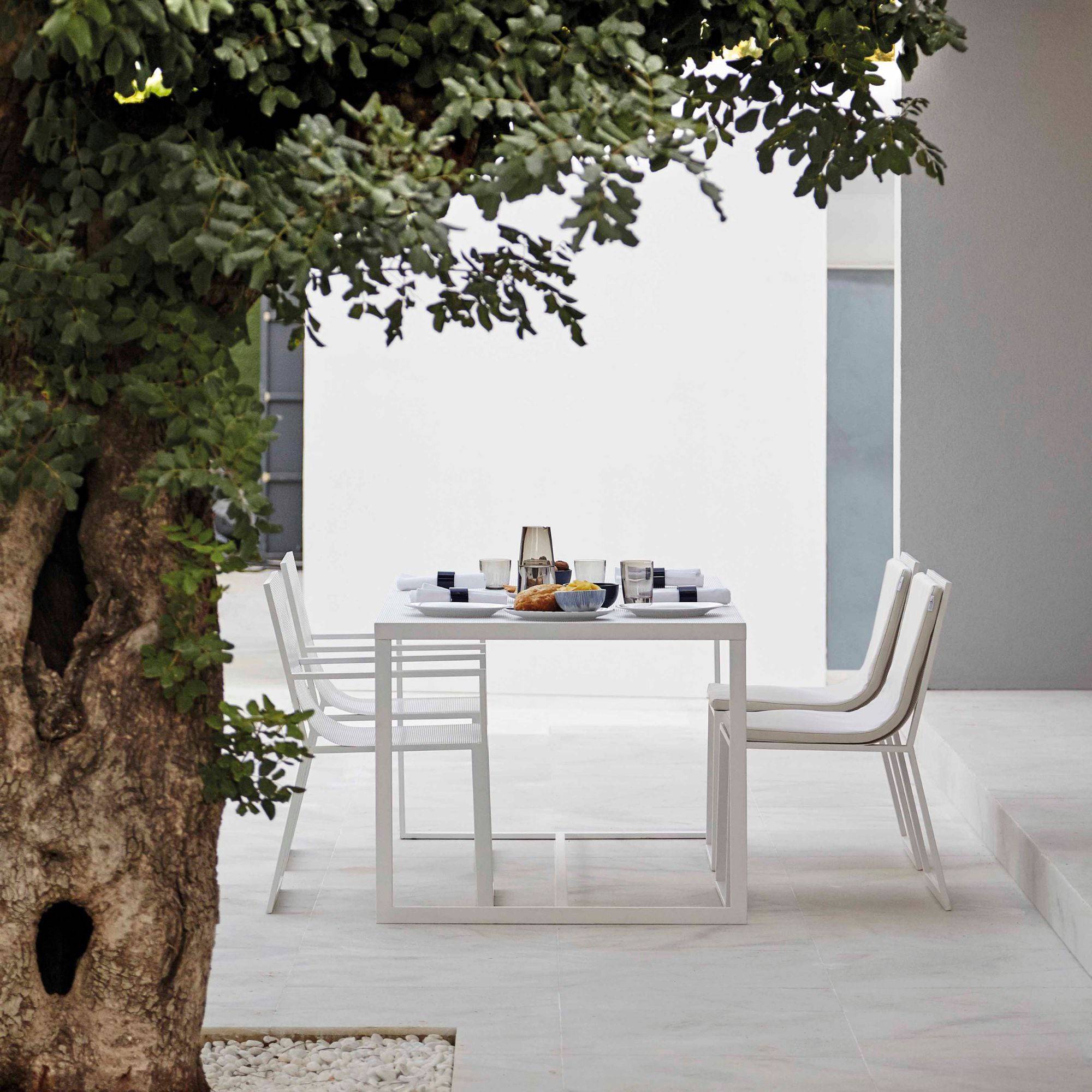 Blau Dining Chair - THAT COOL LIVING