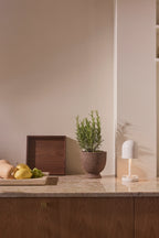 Terra Planter - THAT COOL LIVING