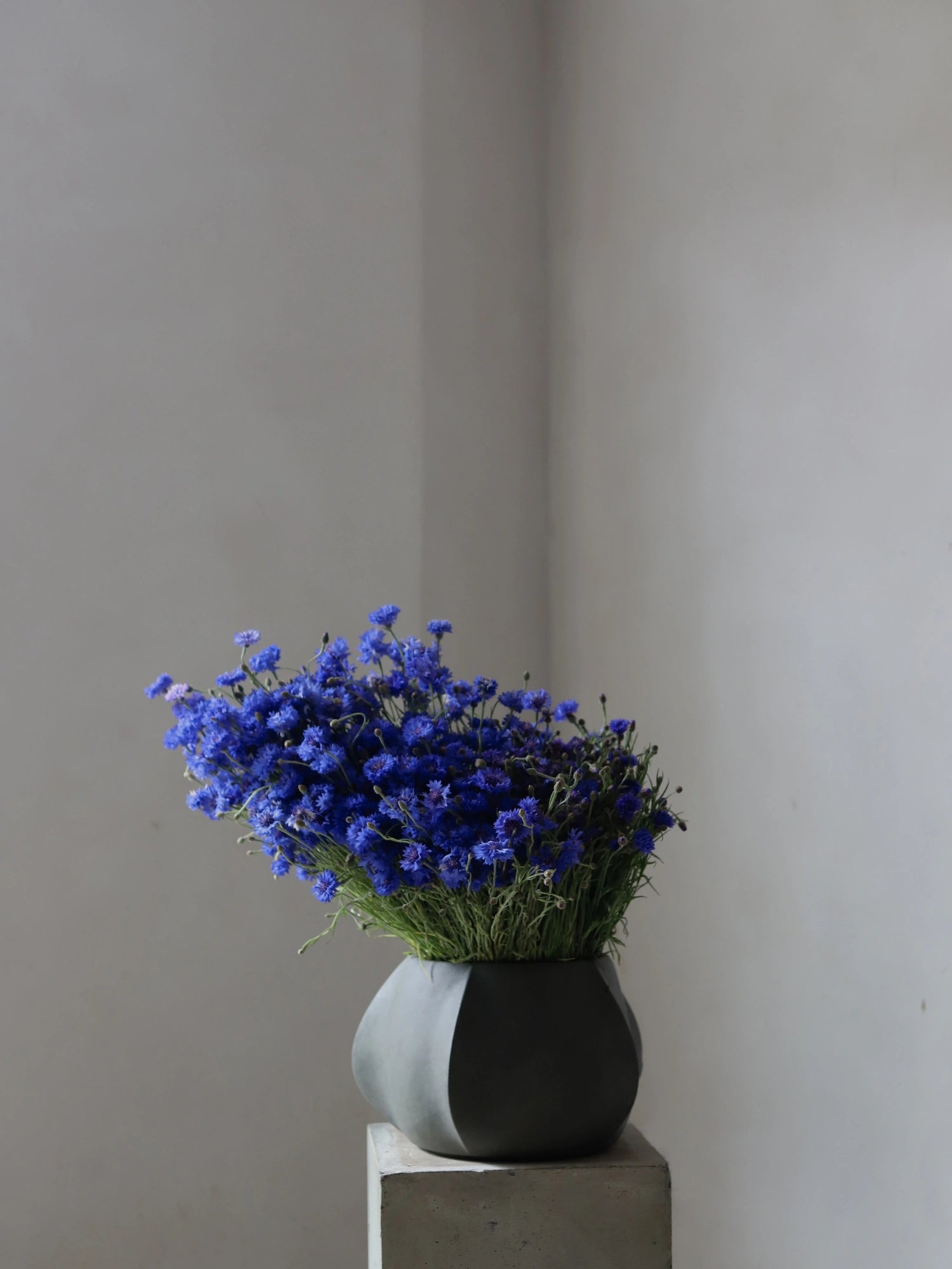 Arket Planter by 101 CPH - THAT COOL LIVING