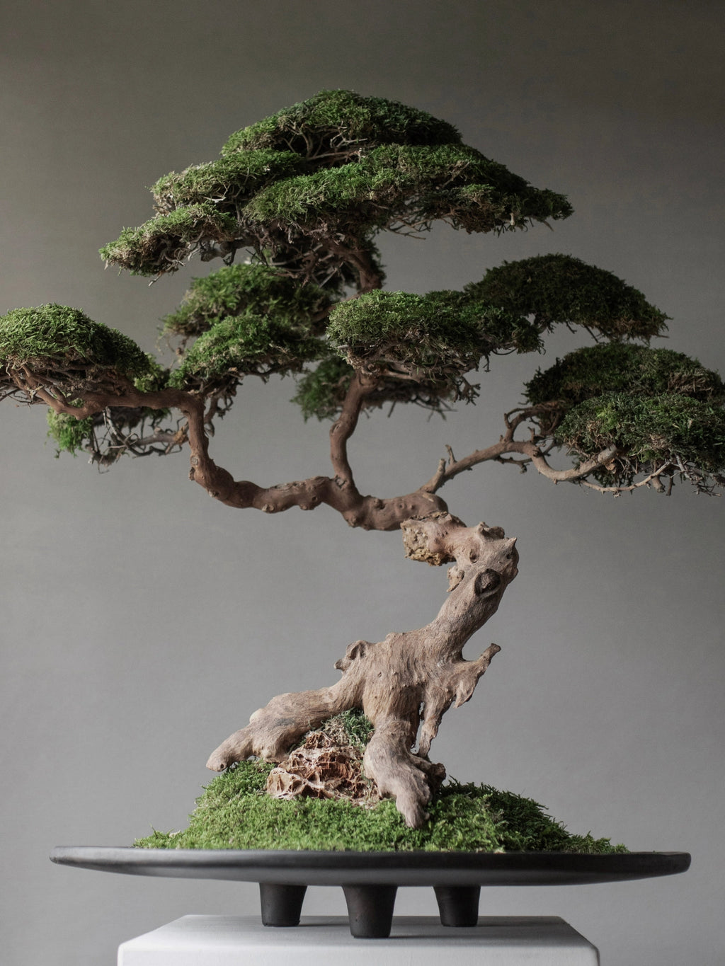101 CPH Duck Tray displaying a detailed faux bonsai tree with vibrant green moss on a dark charcoal ceramic tray with short legs. A premium decorative piece for modern interiors.