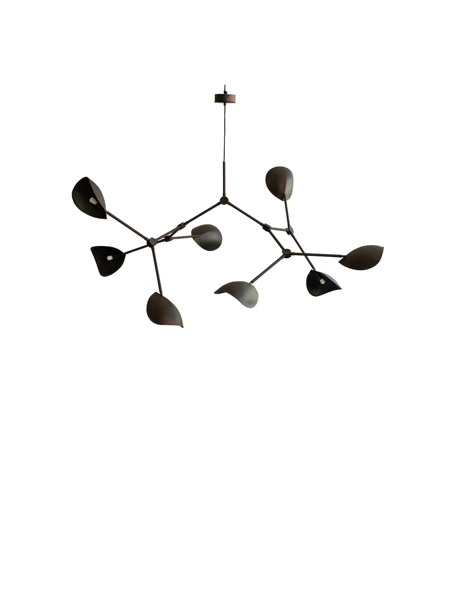 Stingray Chandelier by 101 CPH - THAT COOL LIVING