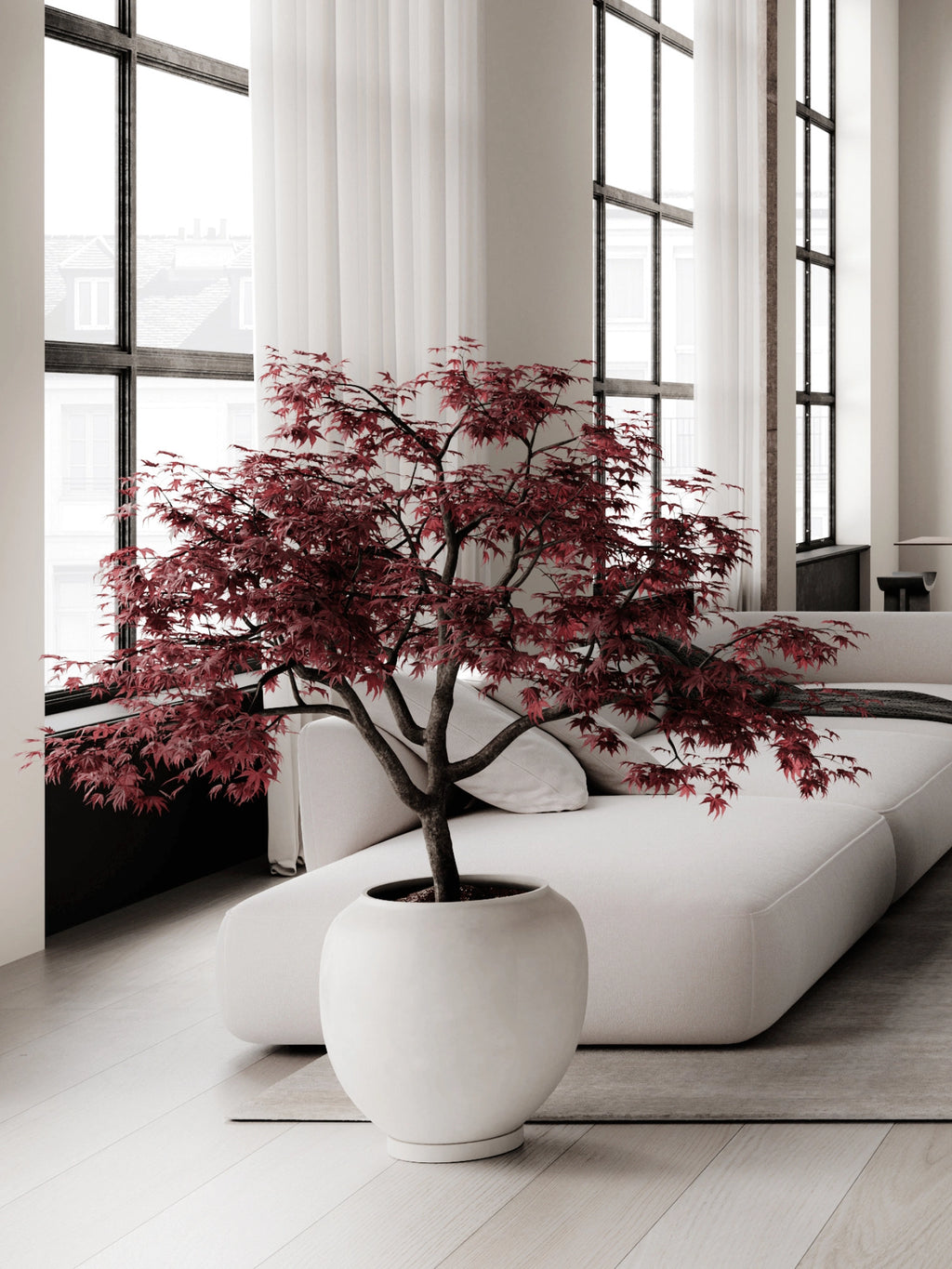 101 CPH Sunao Planter in a soft white, smooth ceramic, round shape, holding a beautiful red maple tree, styled in a minimalist luxury living room. Perfect for elegant plant display.