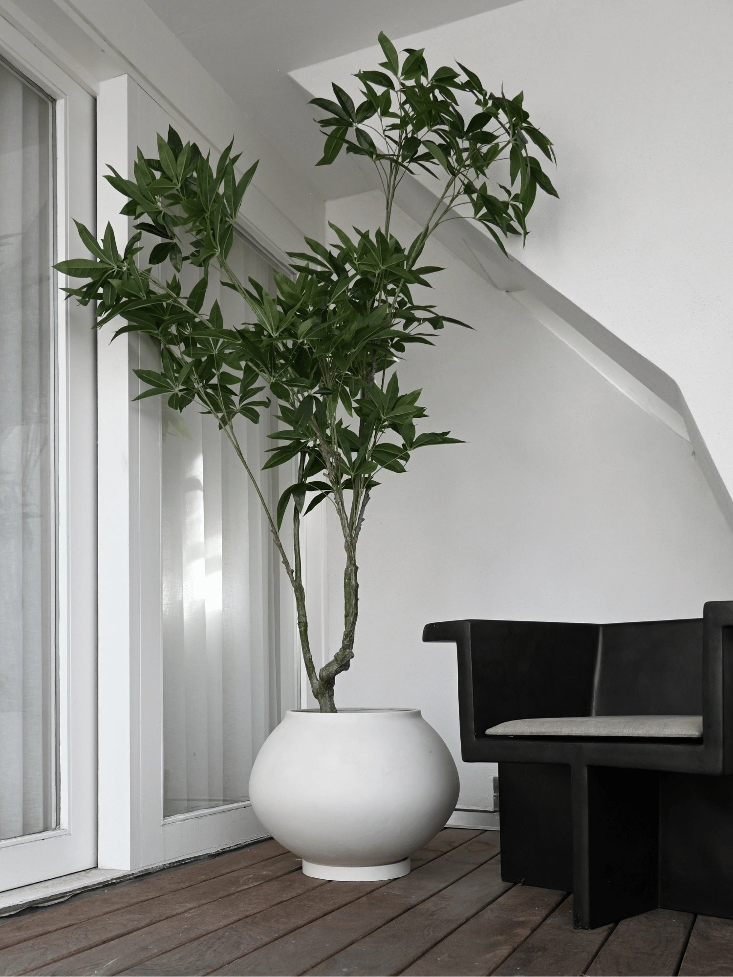 Sunao Planter - Fat by 101 CPH - THAT COOL LIVING