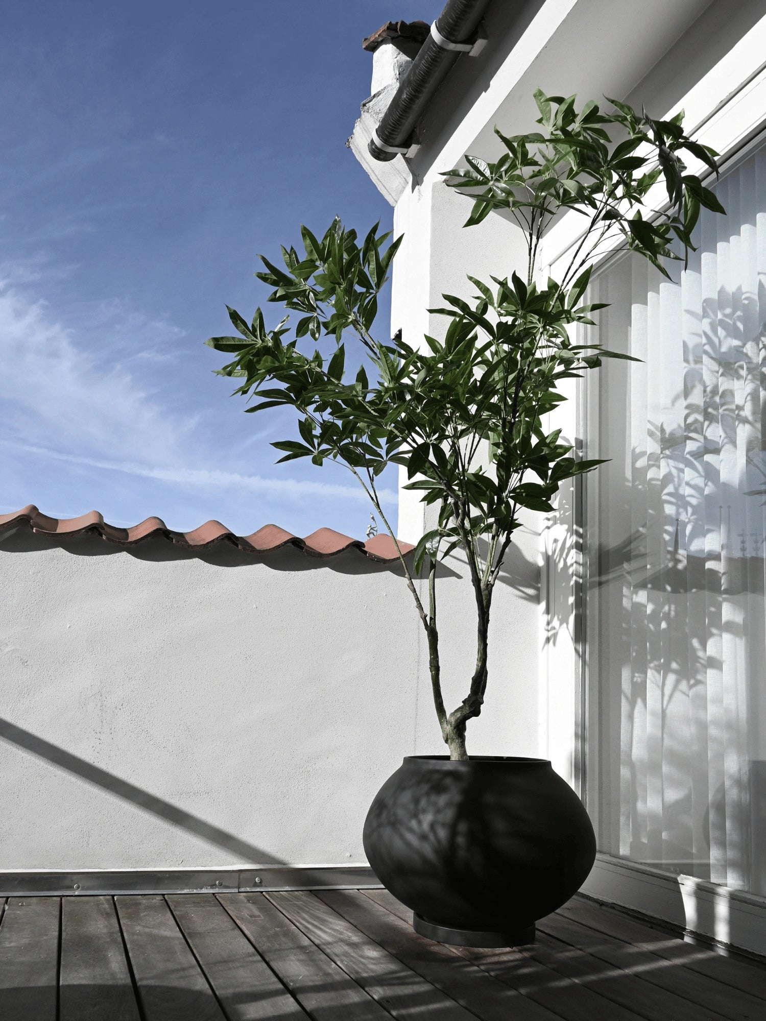 big black pots for plants 101 Copenhagen Sunao Plant Pot Fat, Hexa