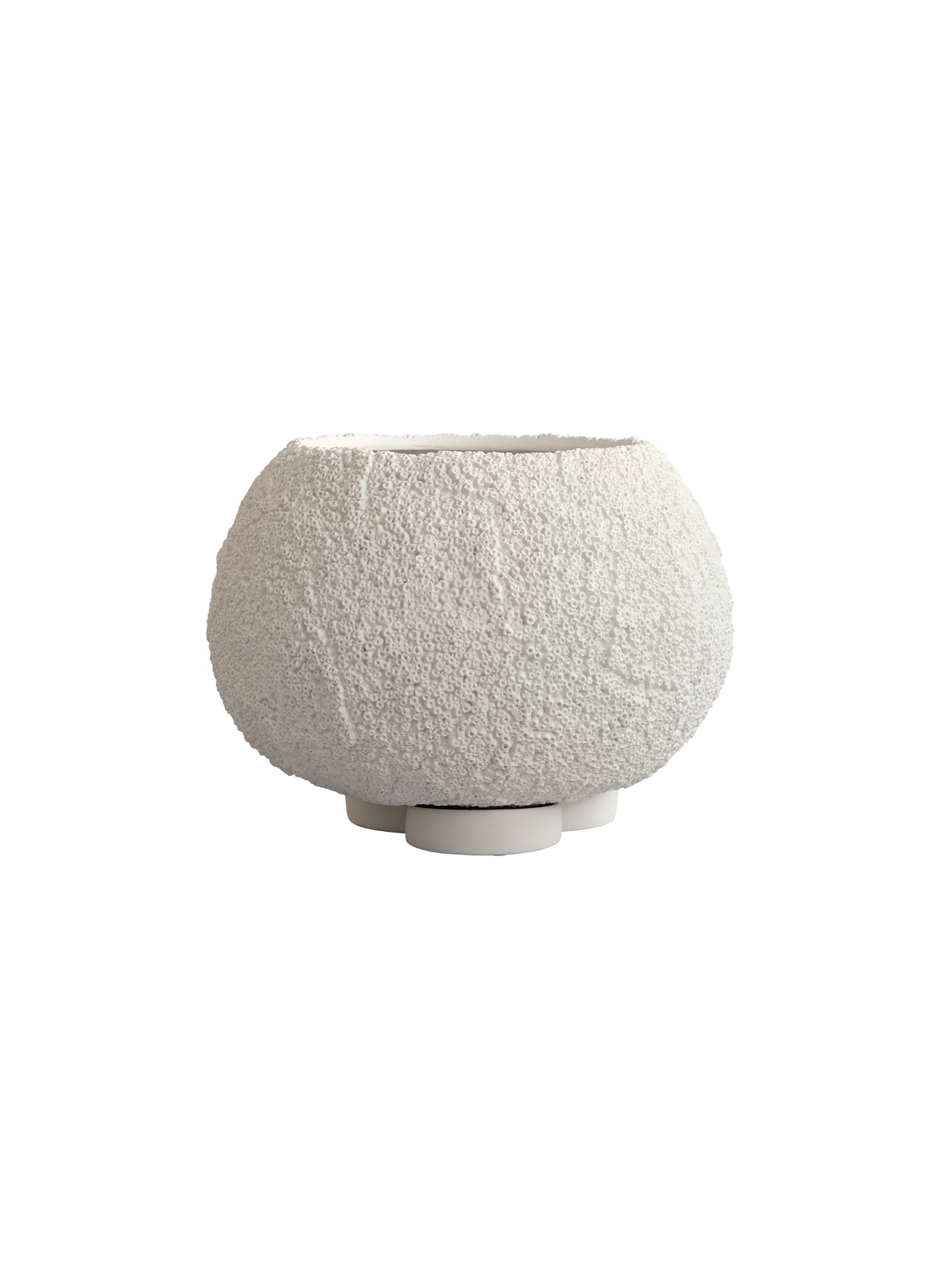 Urchin Planter