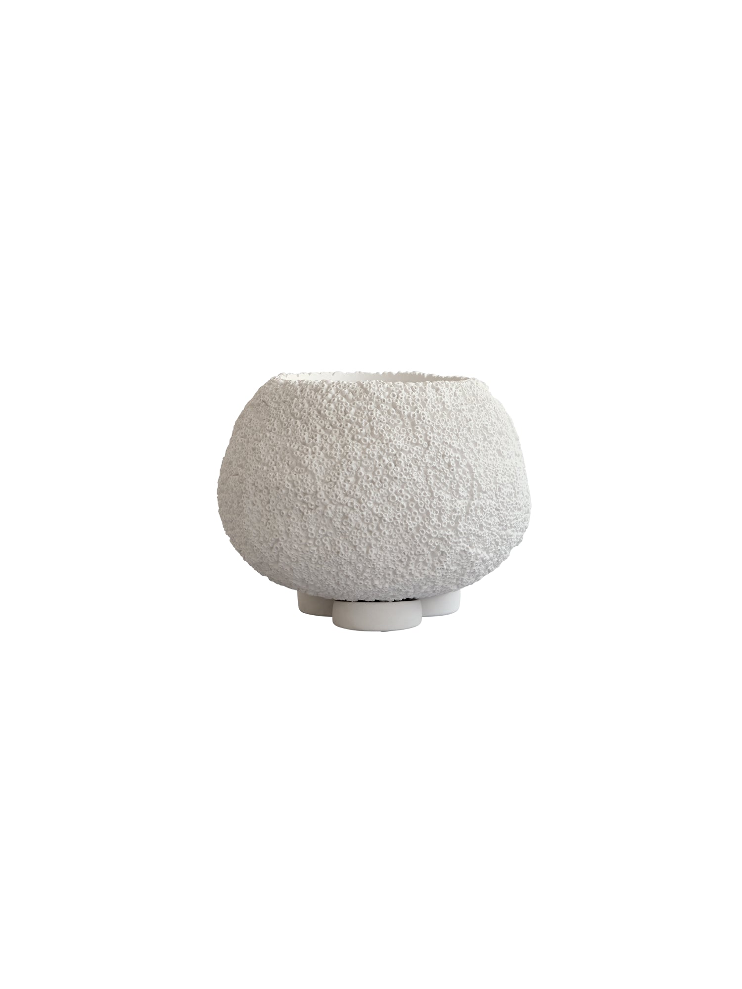 Urchin Planter