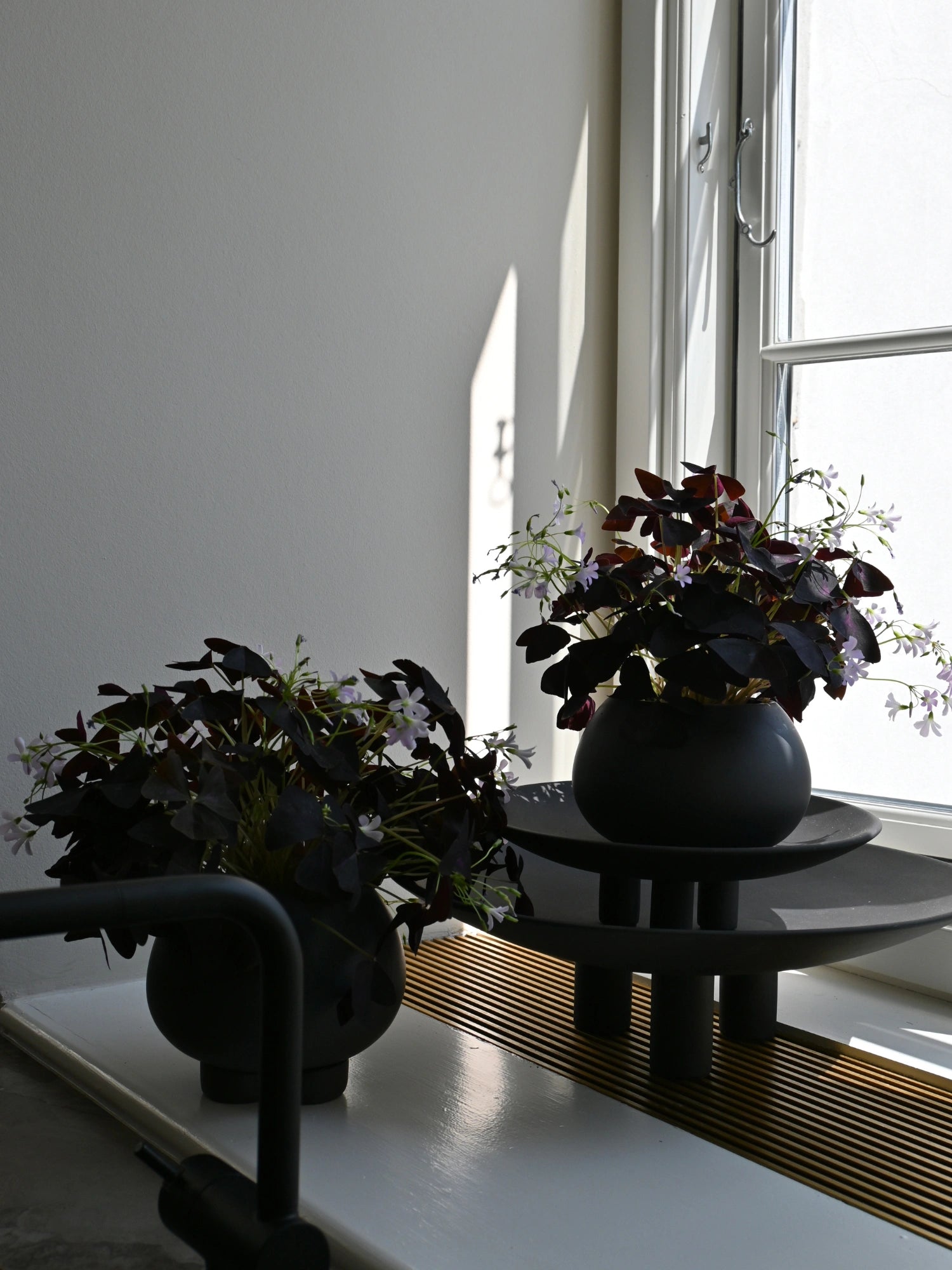 Urchin Planter